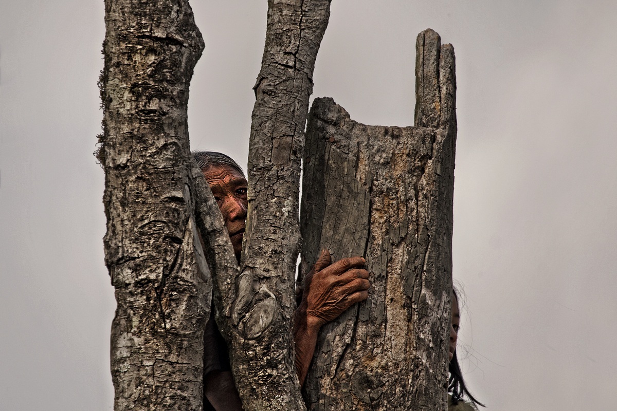 I do not trust .............