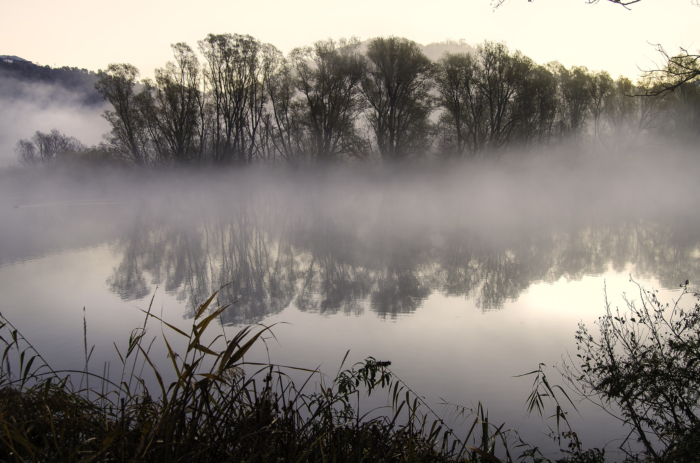 aaa: Alba, sull'Adda, d'Autunno - 5
