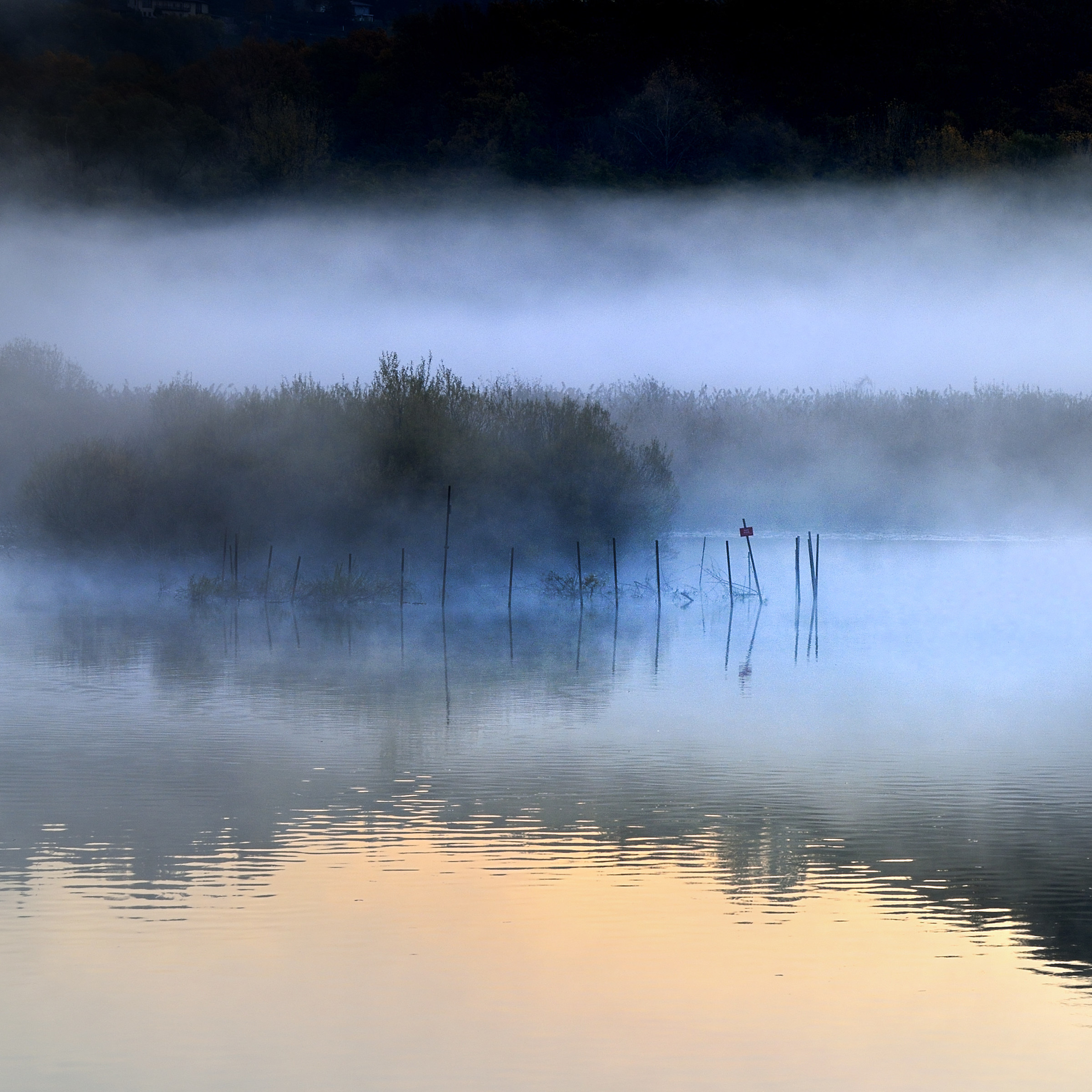 aaa: Alba, sull'Adda, Autumn - 6