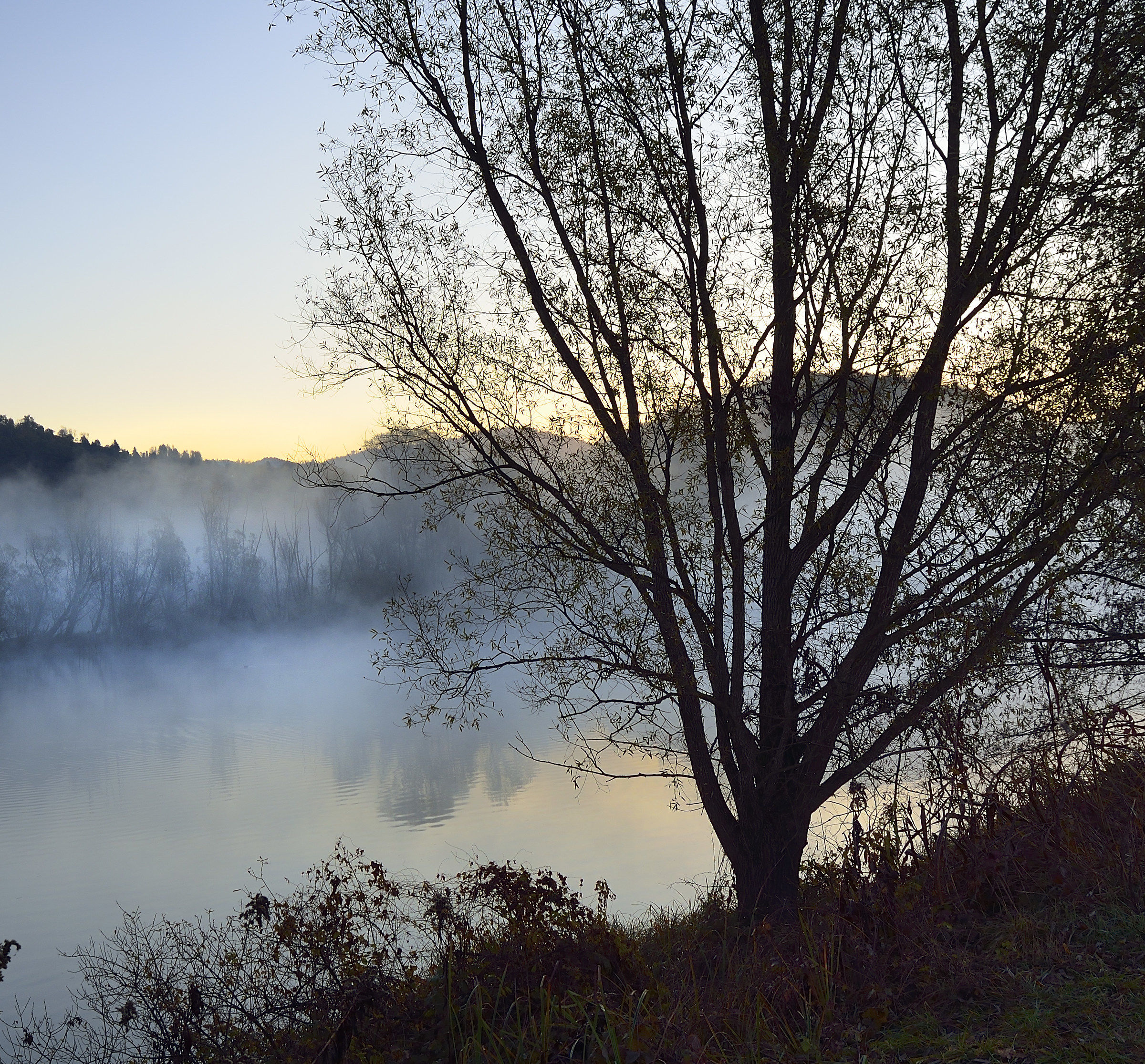 aaa: Alba, sull'Adda, Autumn - 7