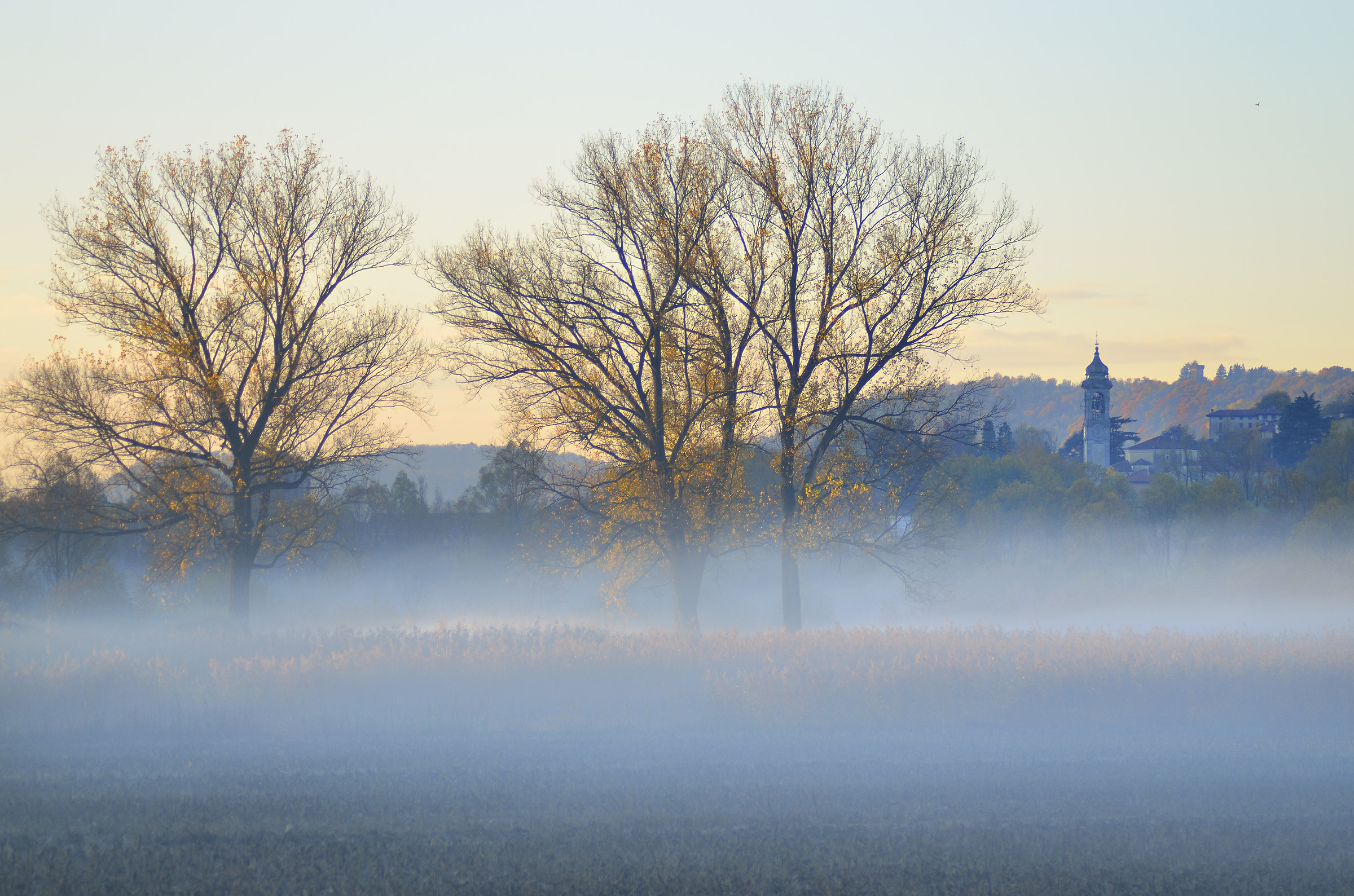 aaa: Alba, sull'Adda, Autumn - 9