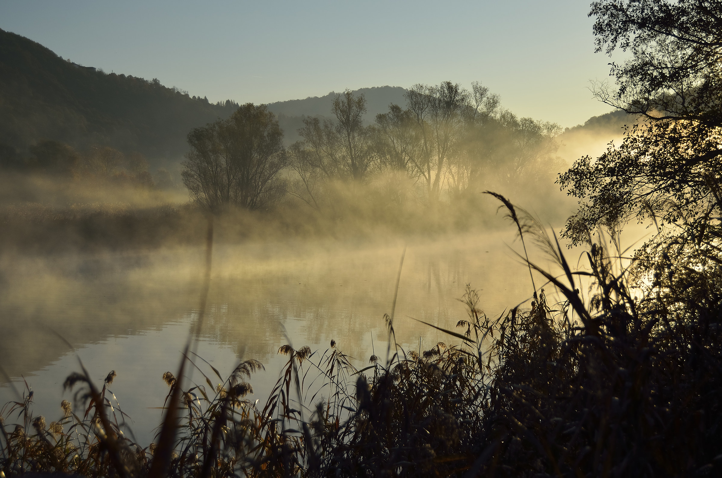 aaa: Alba, sull'Adda, d'Autunno - 10