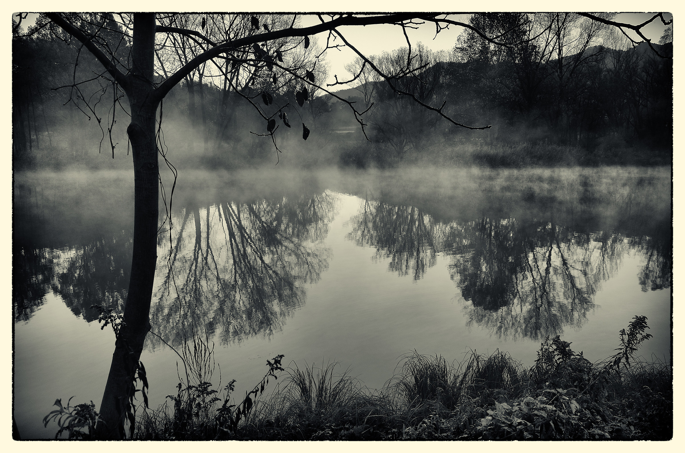 aaa: Alba, sull'Adda, Autumn - 12