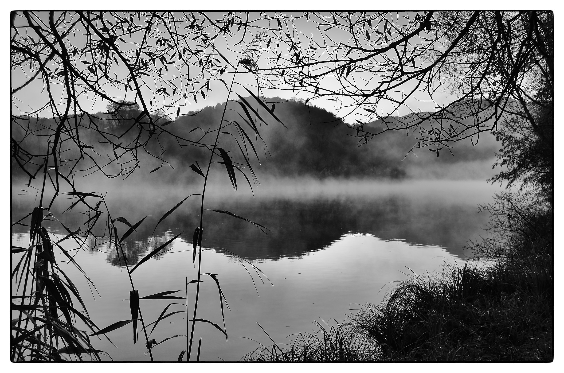 aaa: Alba, sull'Adda, d'Autunno - 13