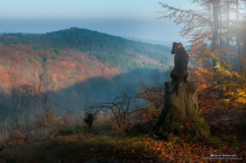 Il re delle montagne