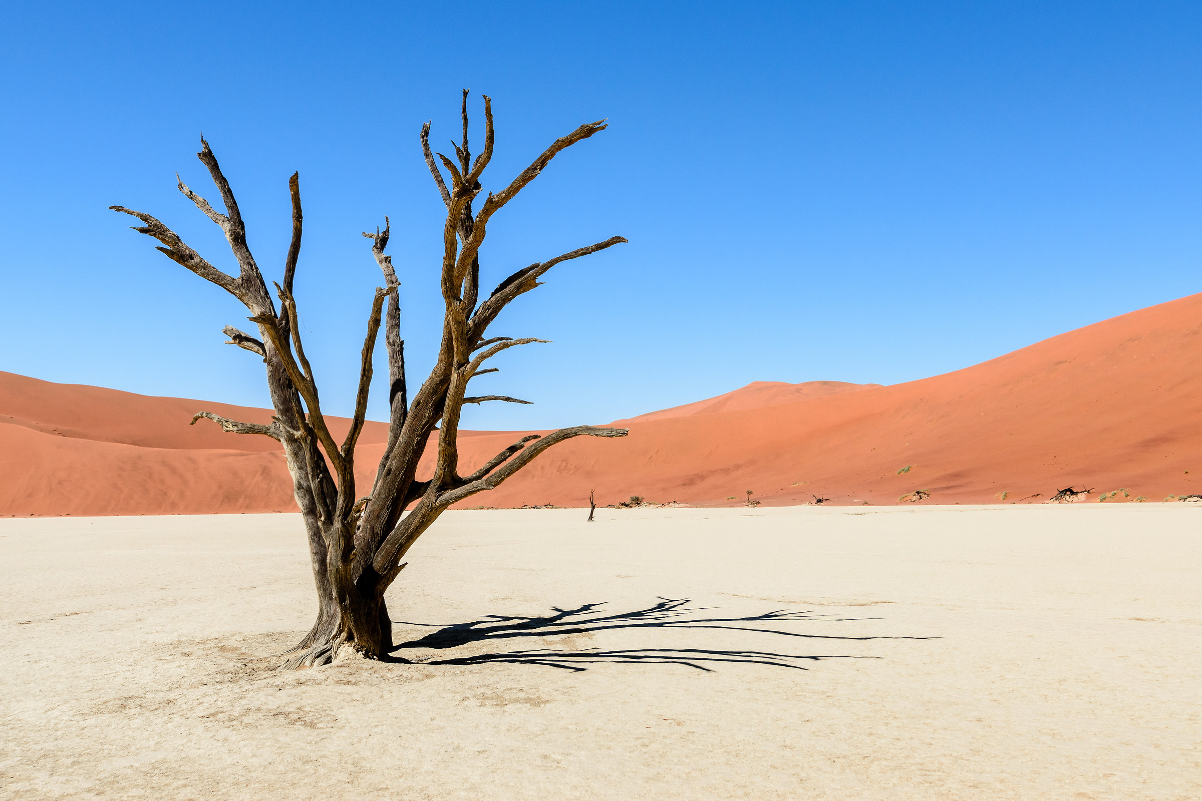 Deadvlei