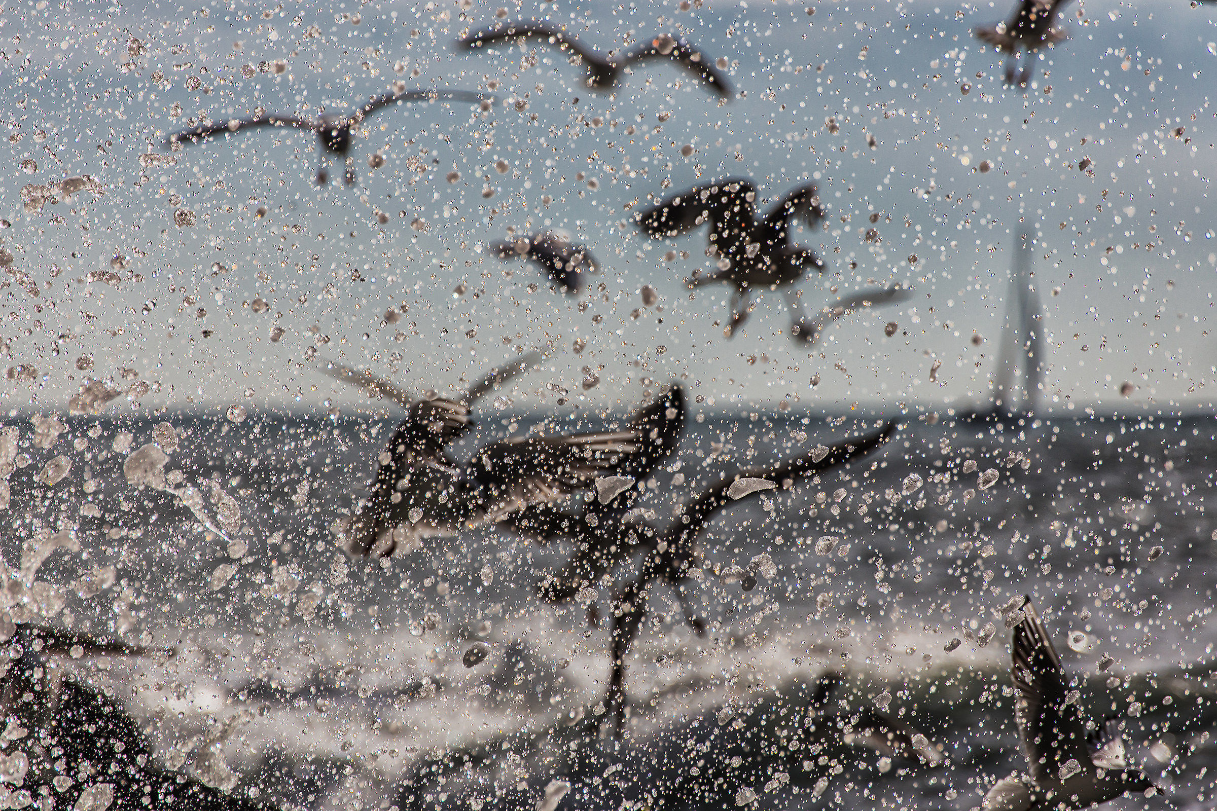 Bubbles, Drops and Seagulls 2