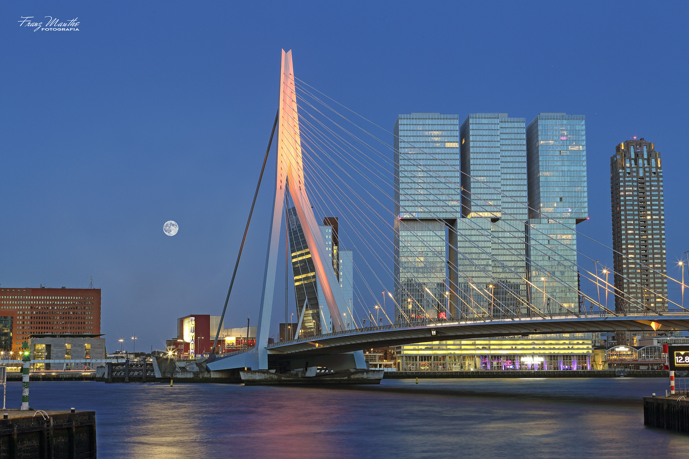 Urban landscape - Rotterdam