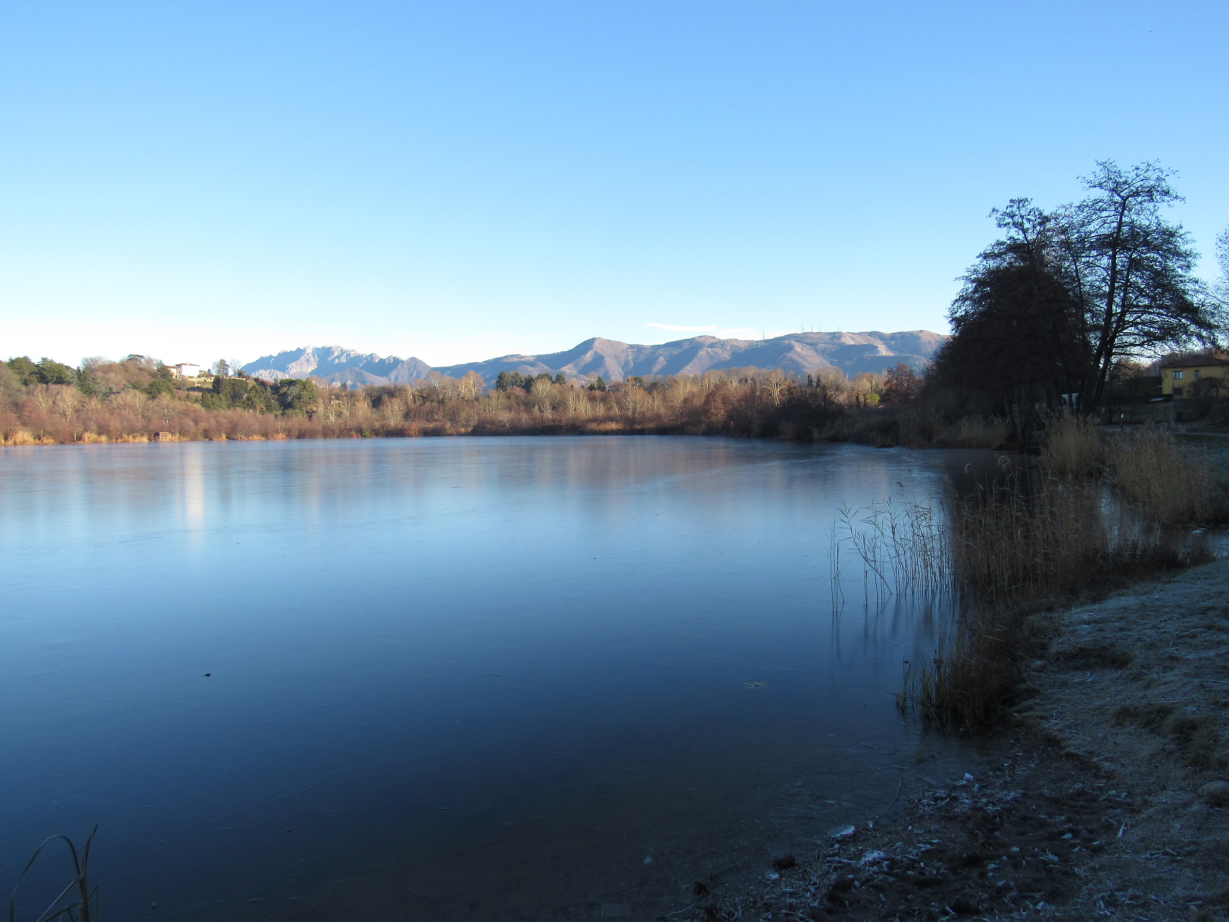 Oasi naturale lago di Sartirana ( Lc )