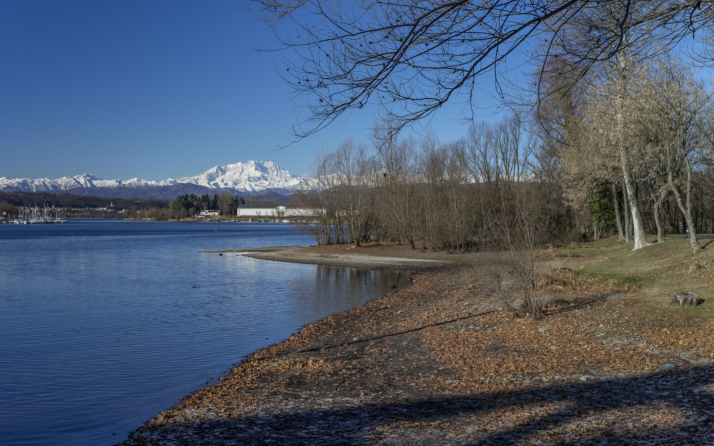 Late morning of December 17th