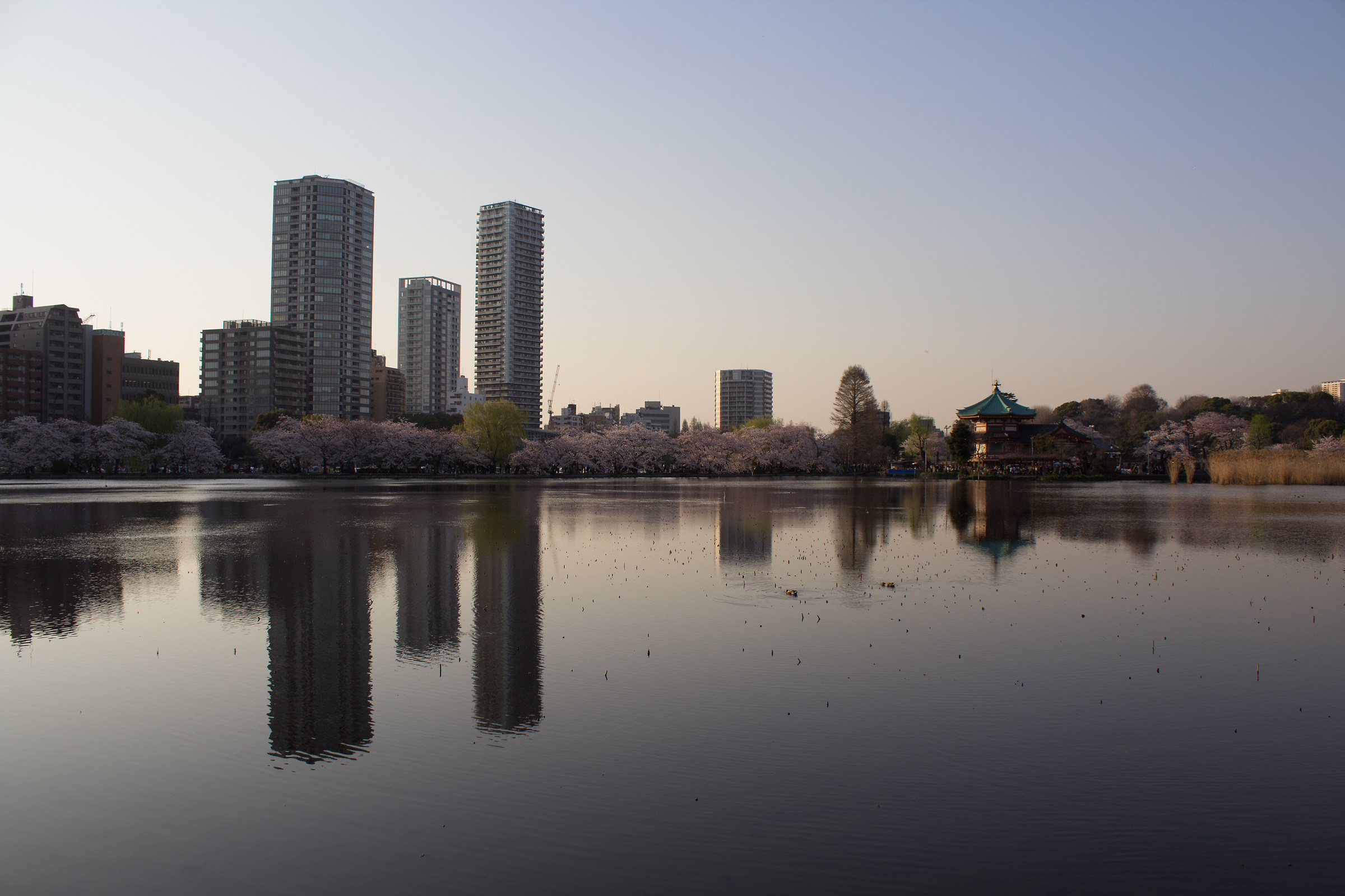 2015 - Shinjuku Gyoen, Tokyo