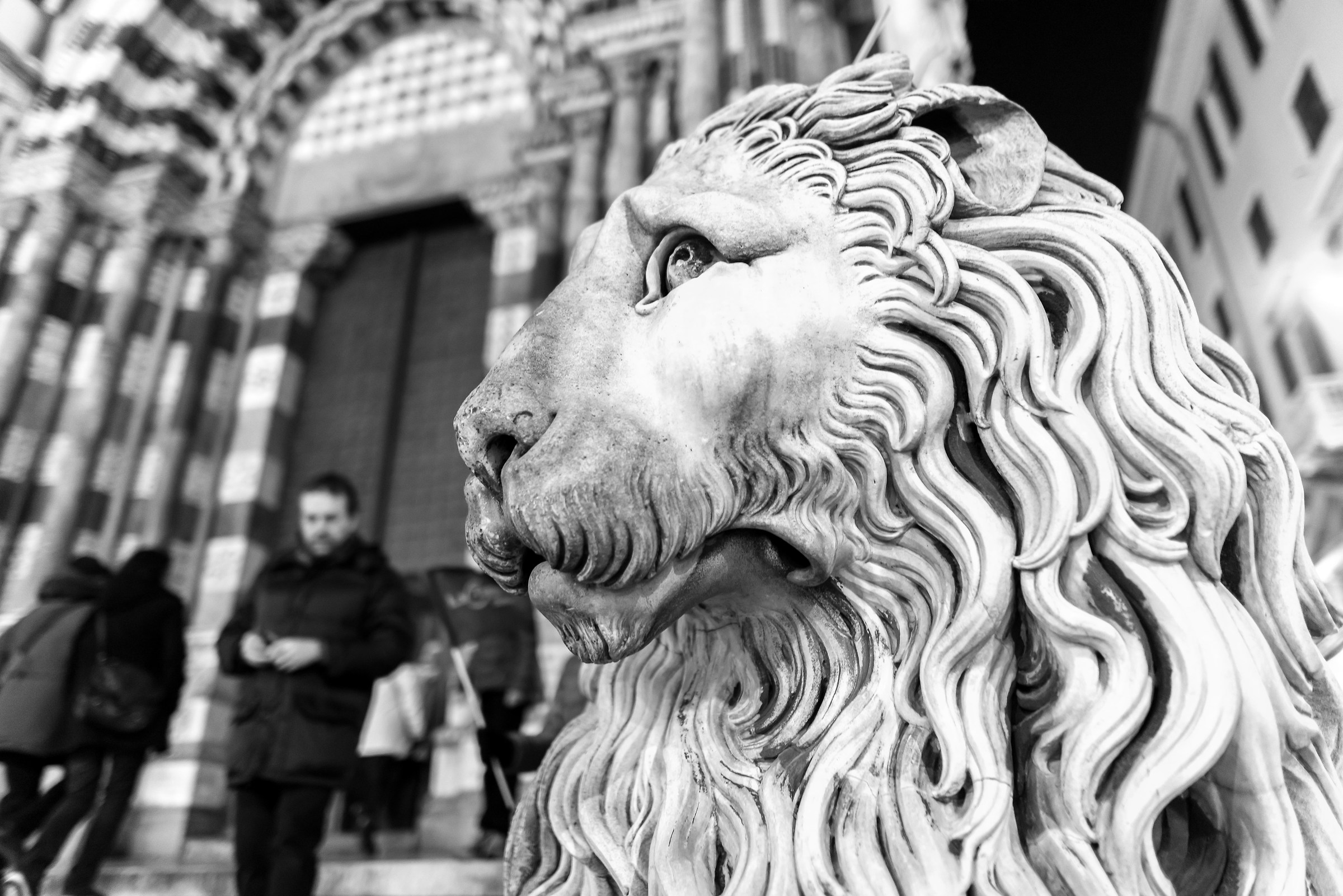 Il leone del Duomo di Genova