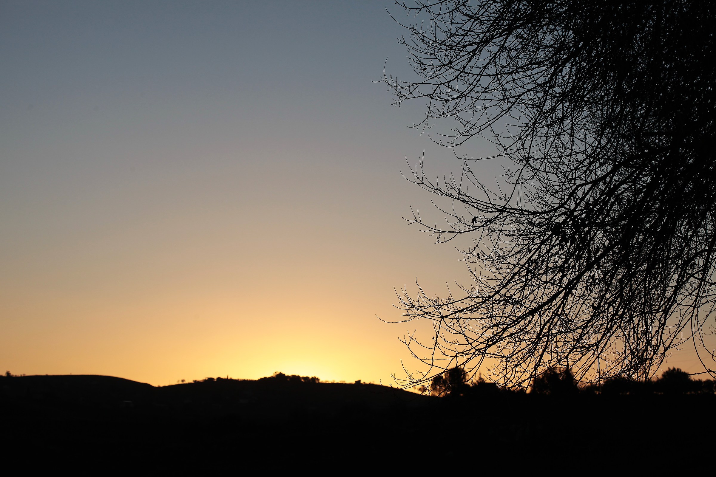 Lights of a dawn that is slow to arrive