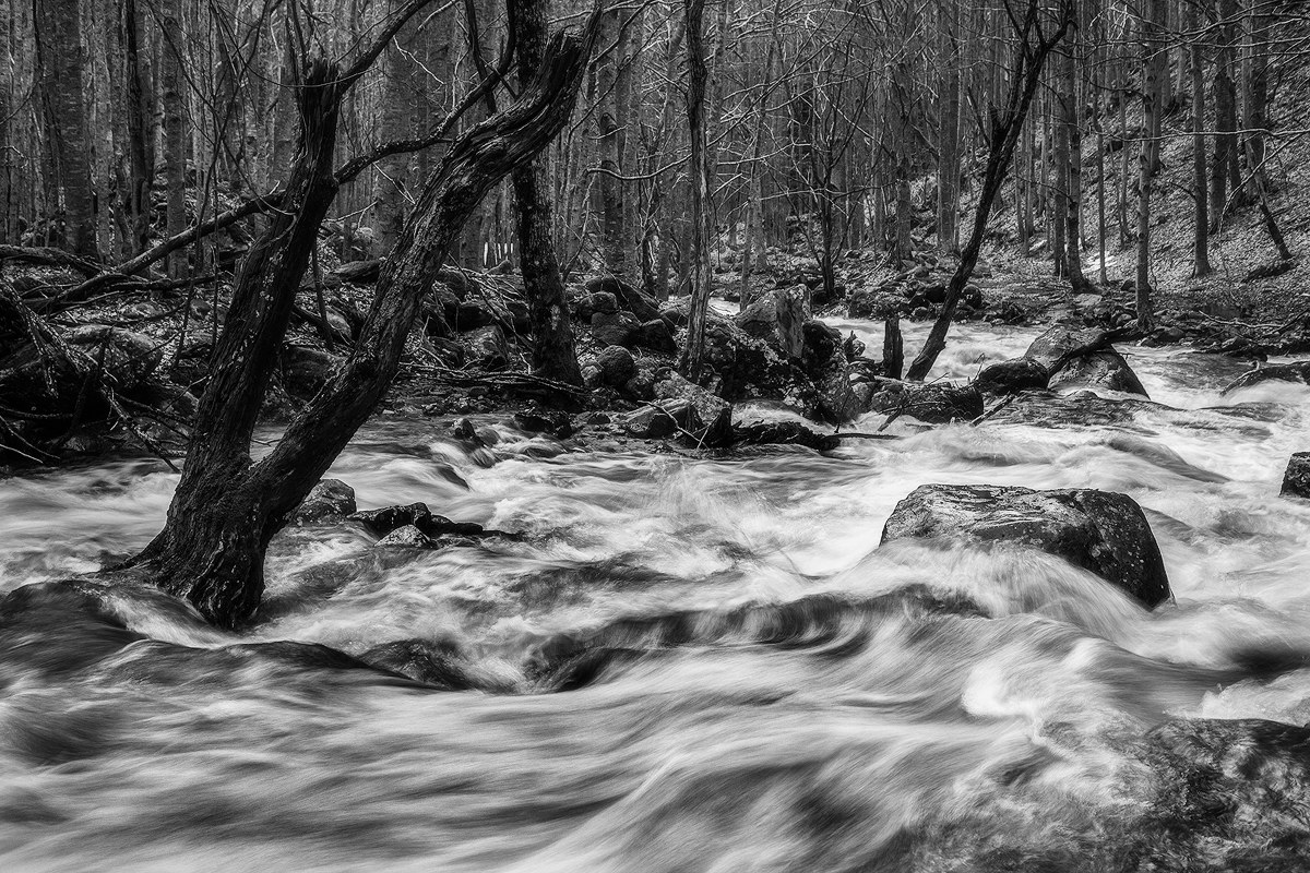 The rage of the river