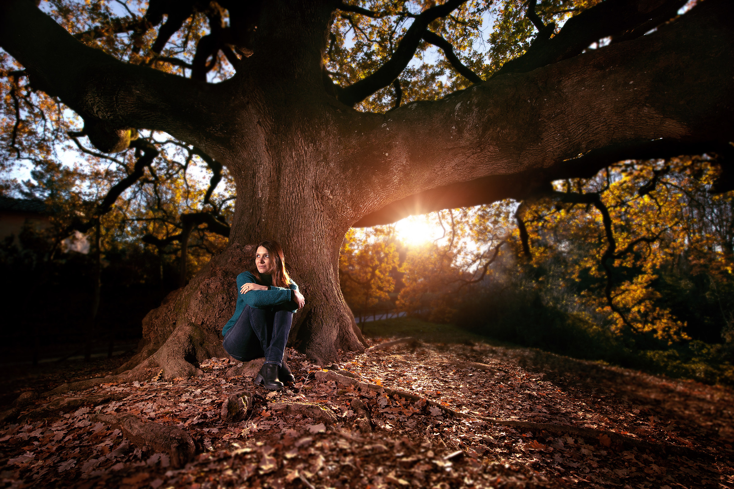 Quercia delle streghe