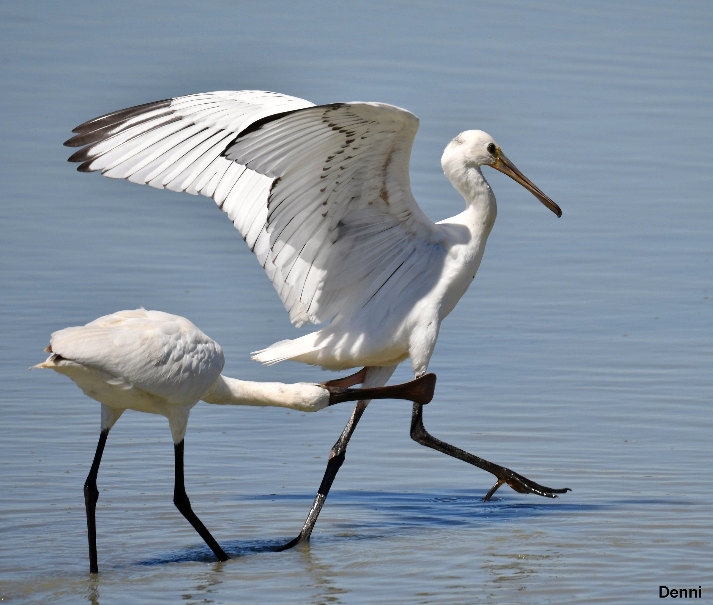 but where are you going