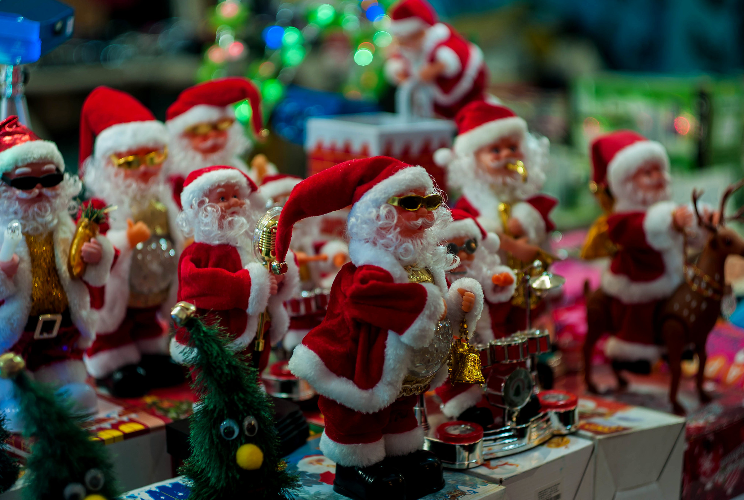 this wonderful sulmmilux 50 of 59