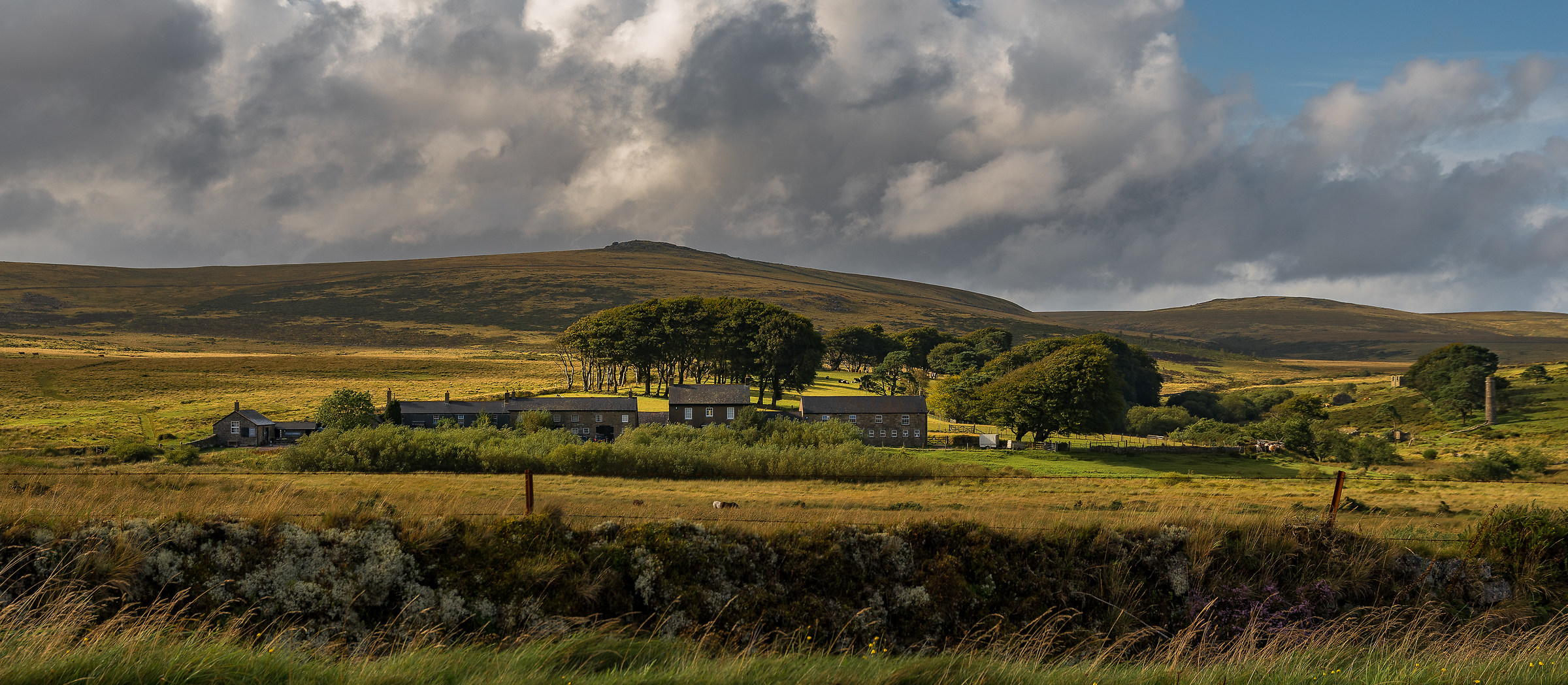 Evening on Dartmoor