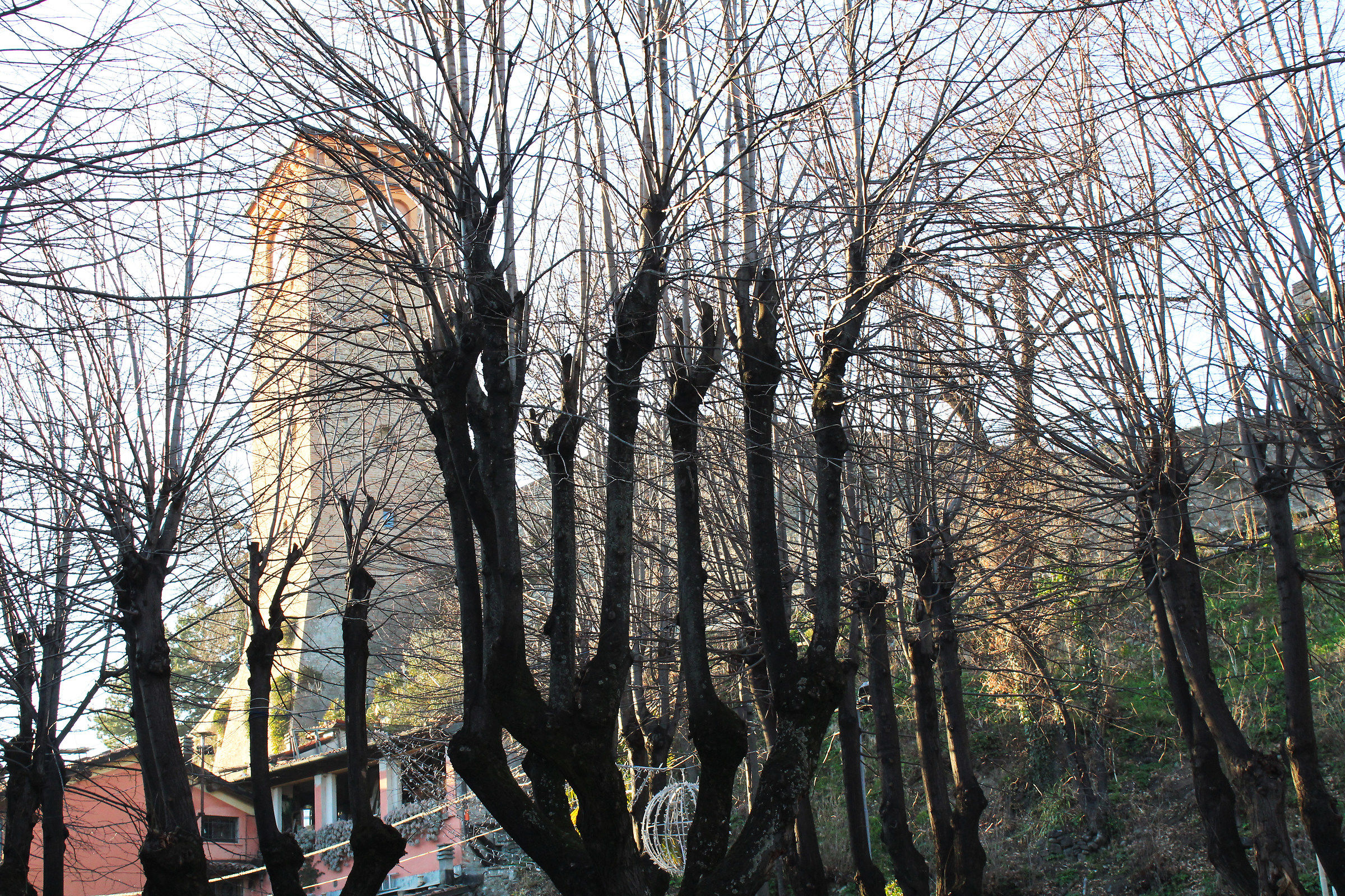 Il castello tra i rami