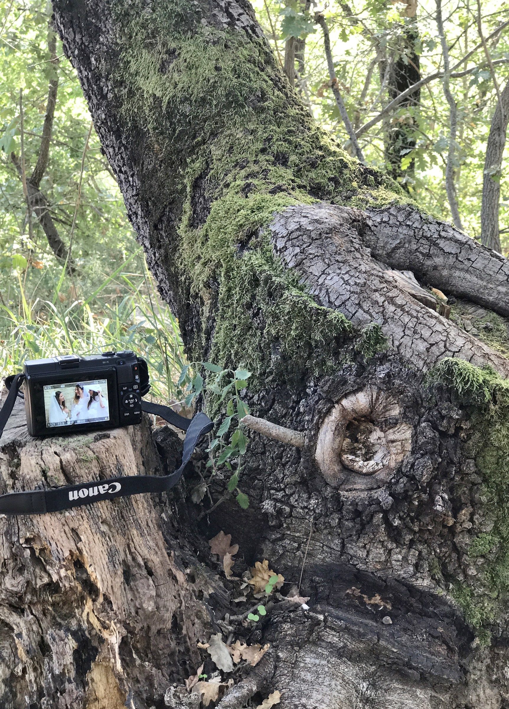 In the woods with my brides.