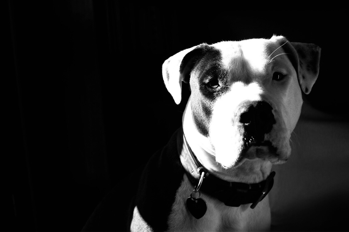 Thea- my best subject