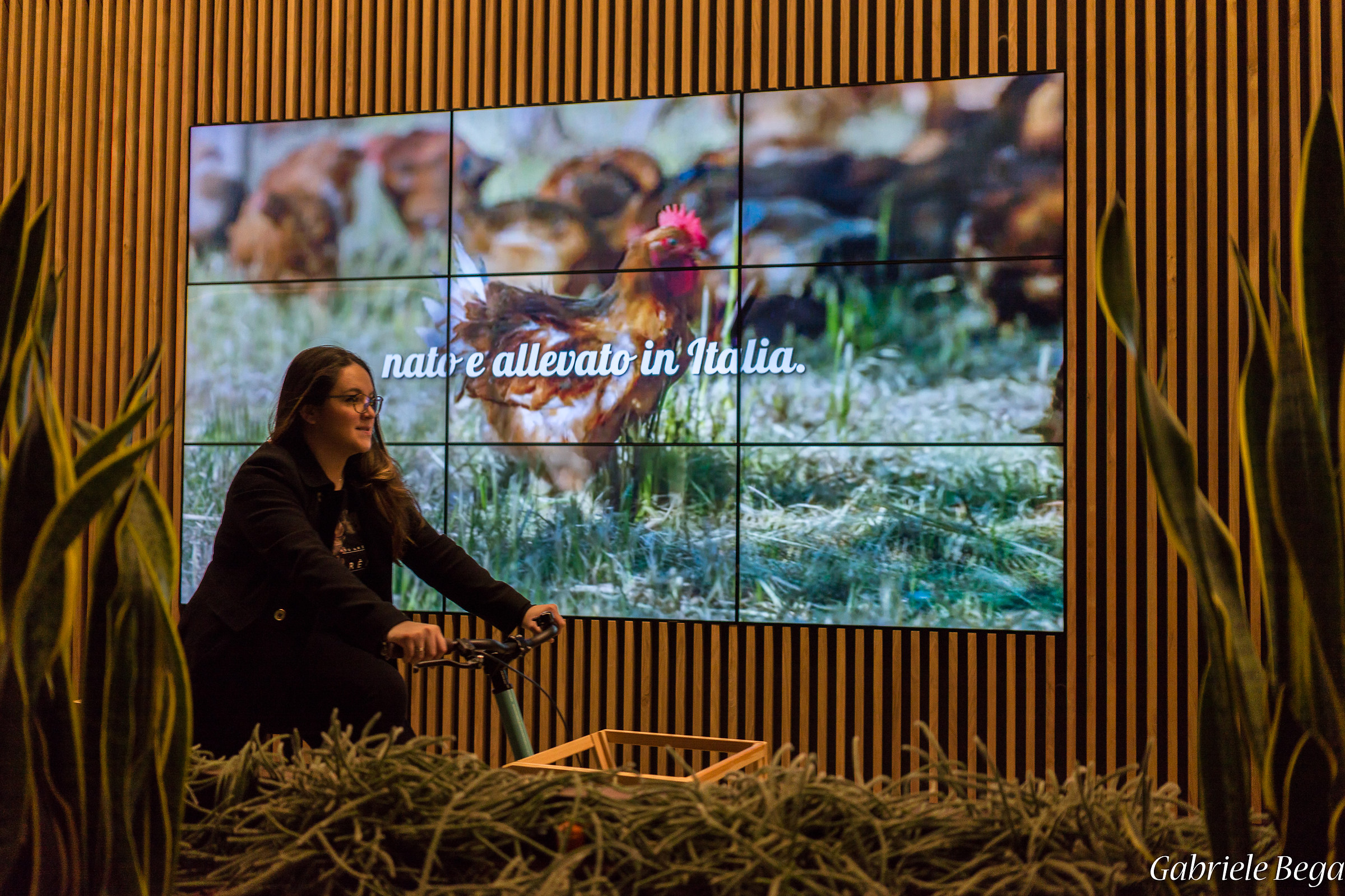 Allevata in Italia :-)