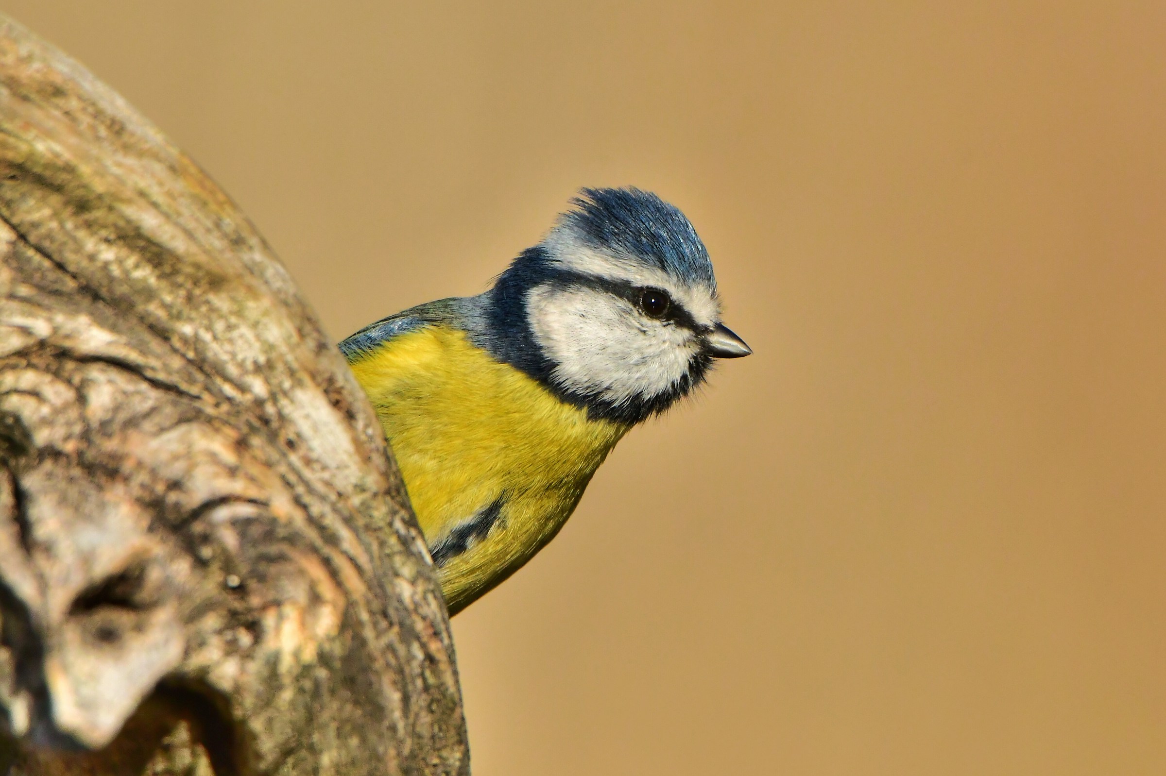 Sorry for the trouble, I can ... !!!