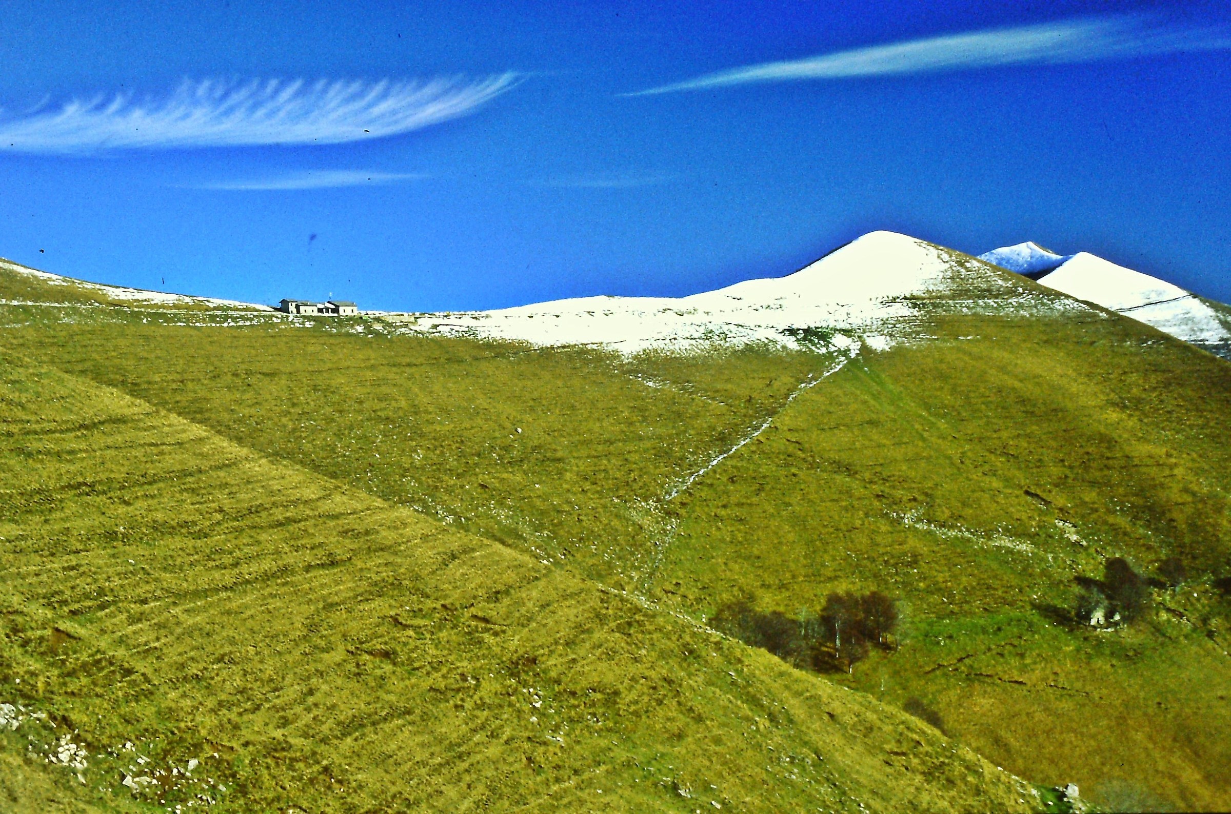 1162 - soft lariancy