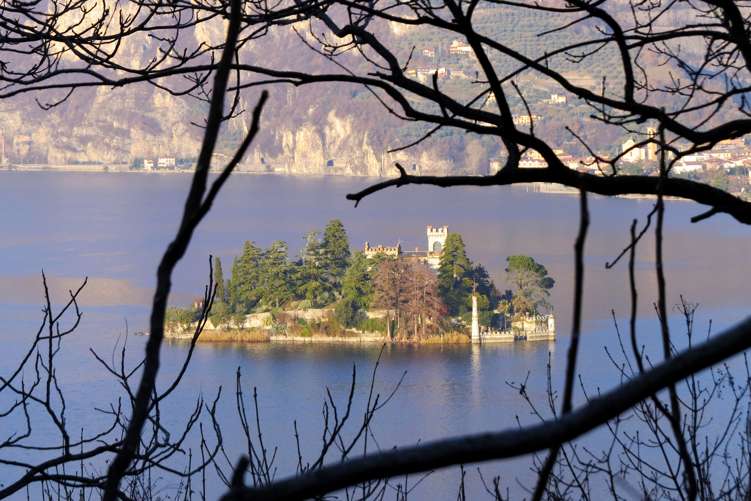 Island of Loreto between the branches