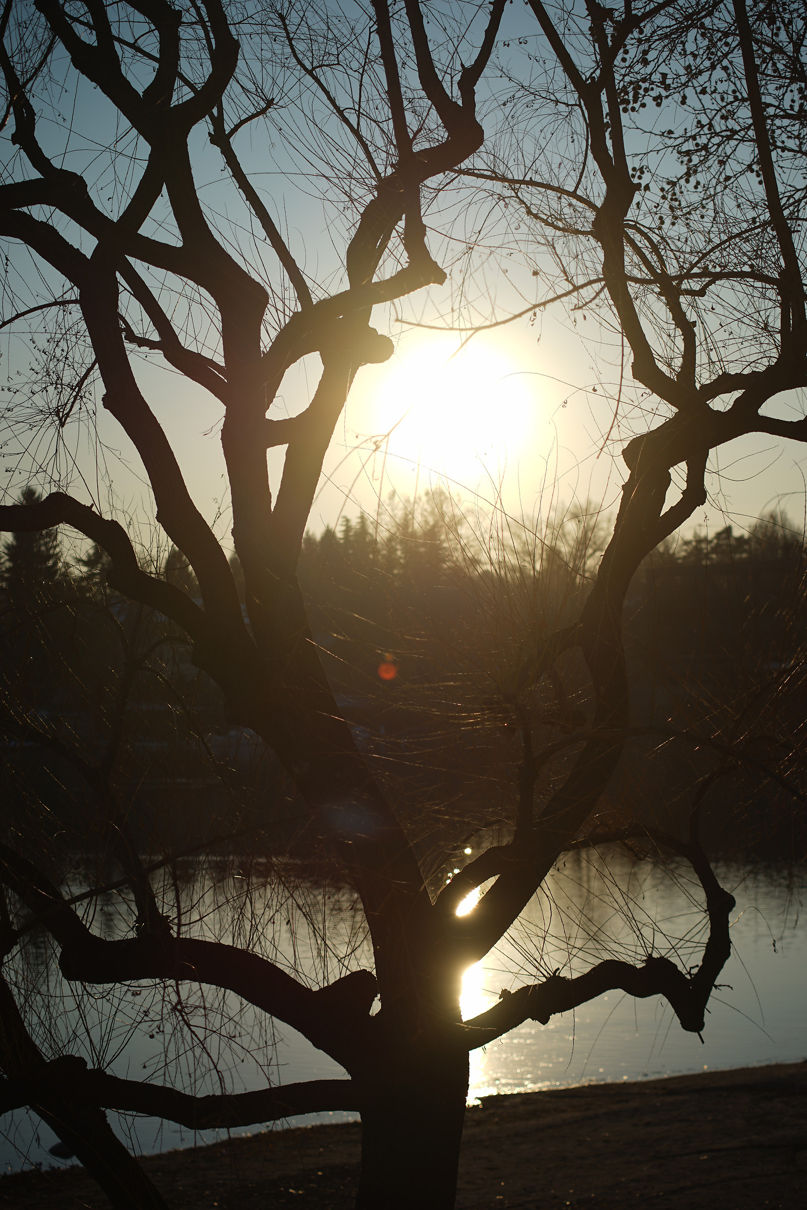 Zeiss Contax backlight test (c / y) 80-200mm f / 4 T * - 1