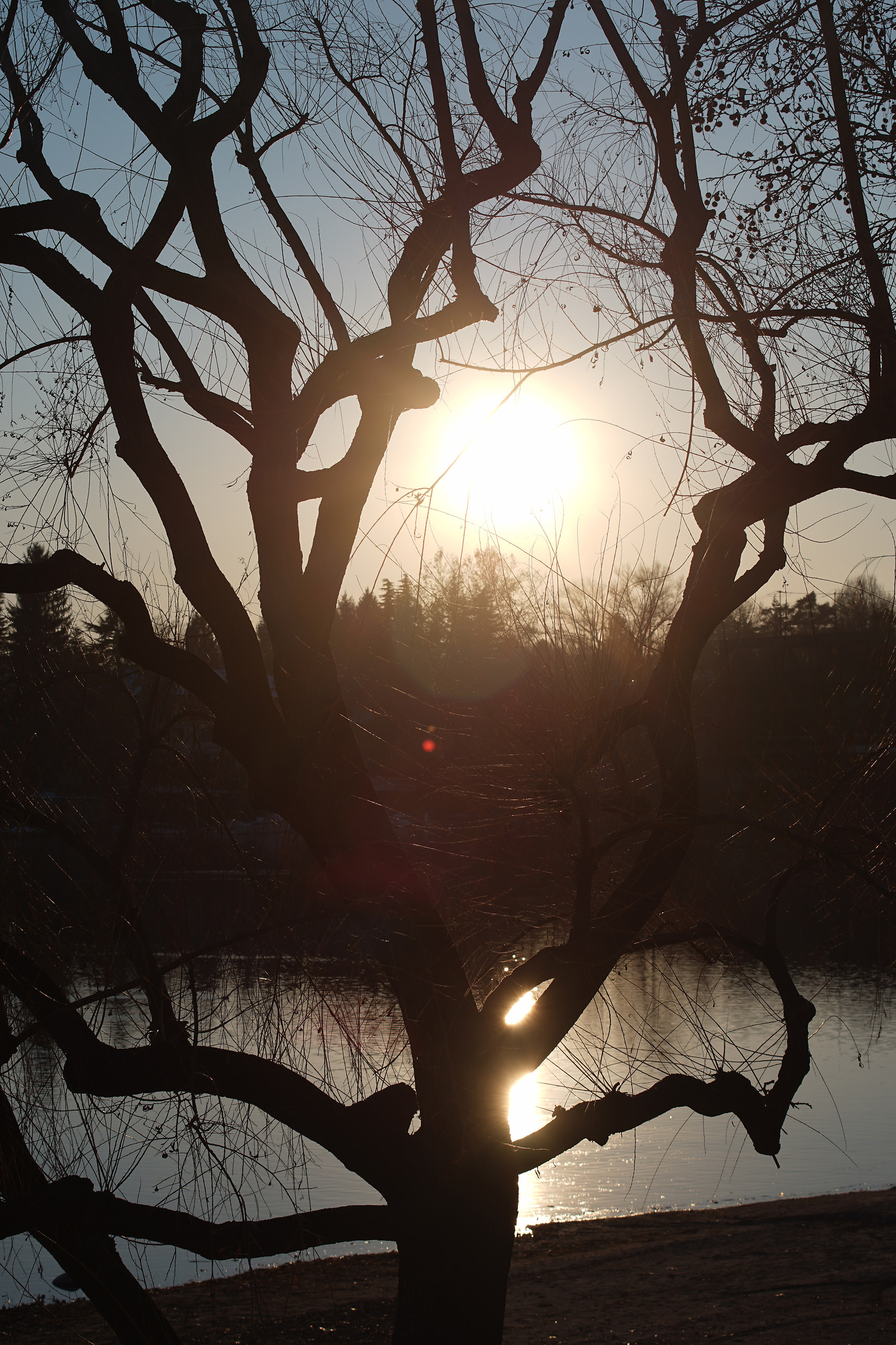 Zeiss Contax backlight test (c / y) 80-200mm f / 4 T * - 4