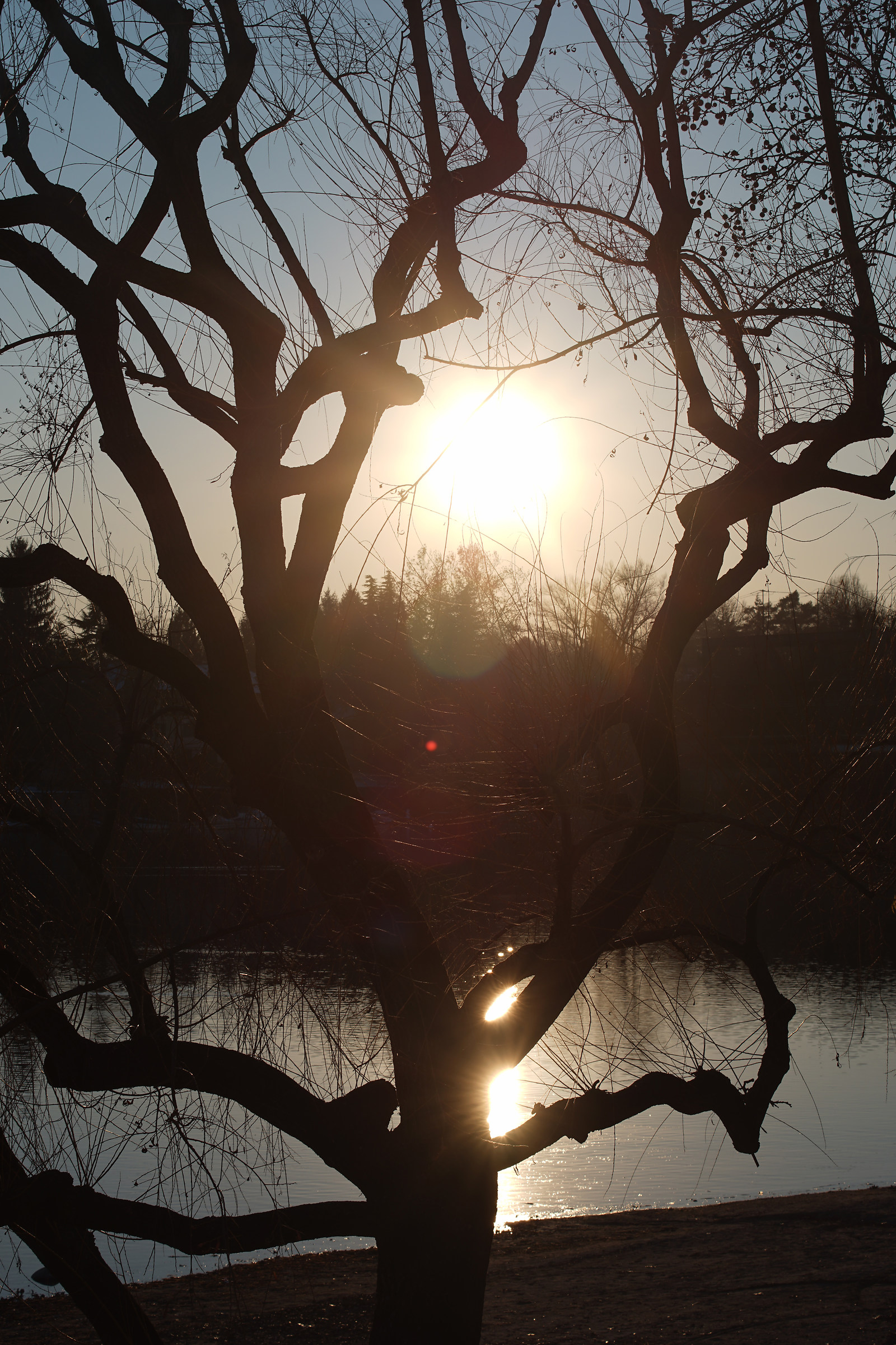 Zeiss Contax backlight test (c / y) 80-200mm f / 4 T * - 5