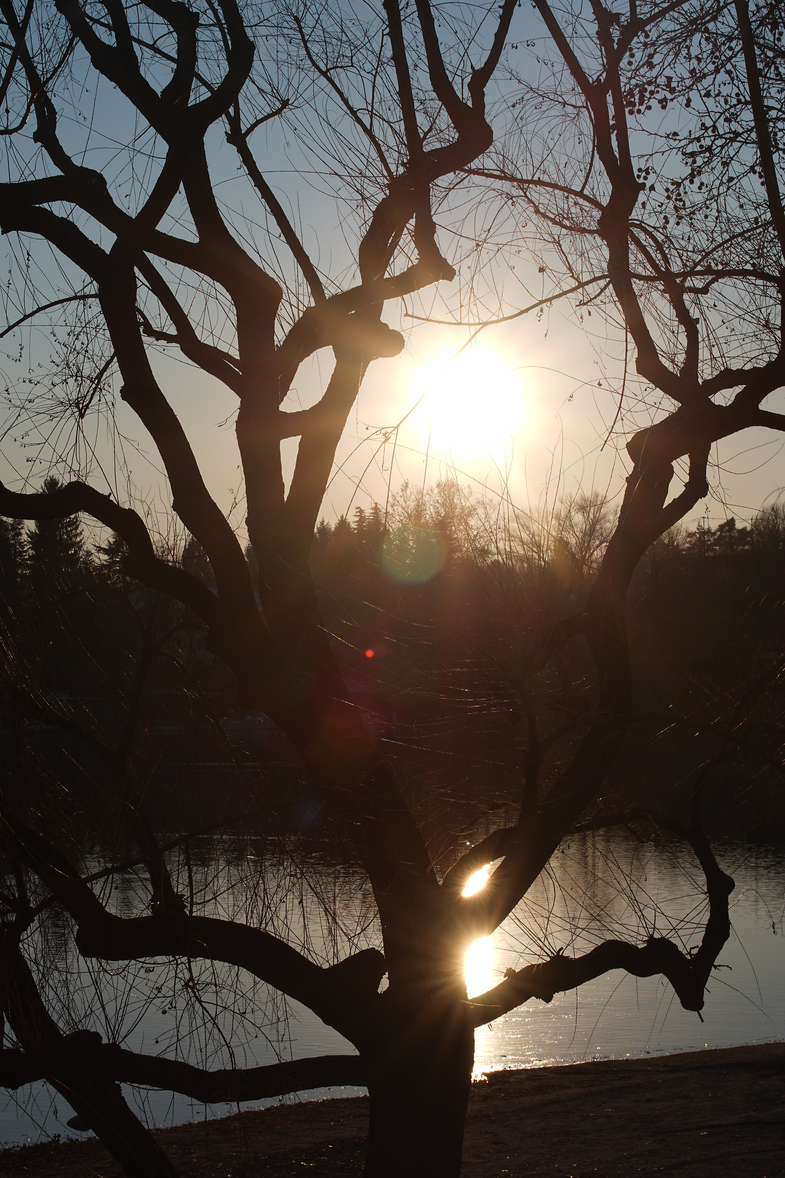 Zeiss Contax backlight test (c / y) 80-200mm f / 4 T * - 6