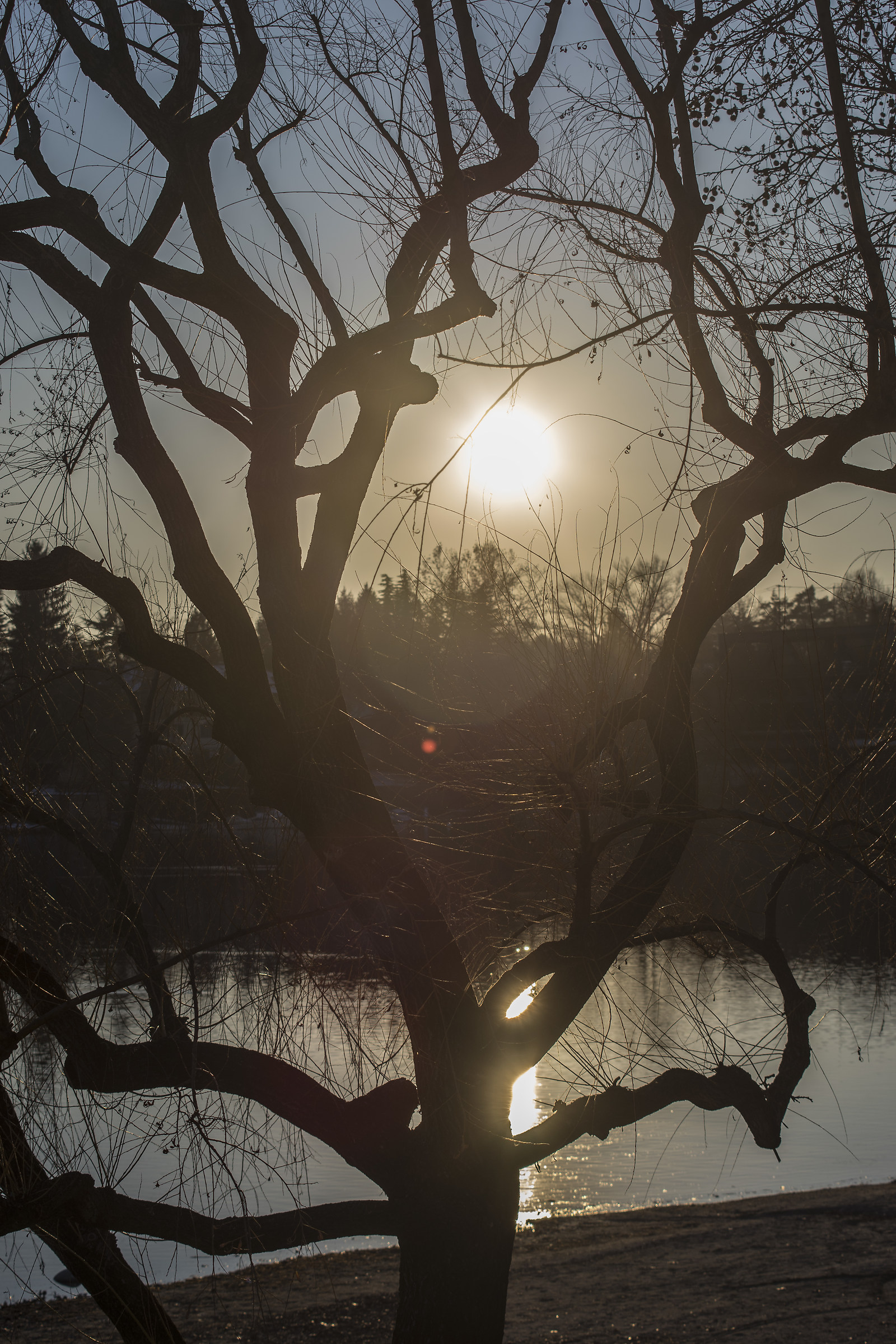 Zeiss Contax backlight test (c / y) 80-200mm f / 4 T * - 7