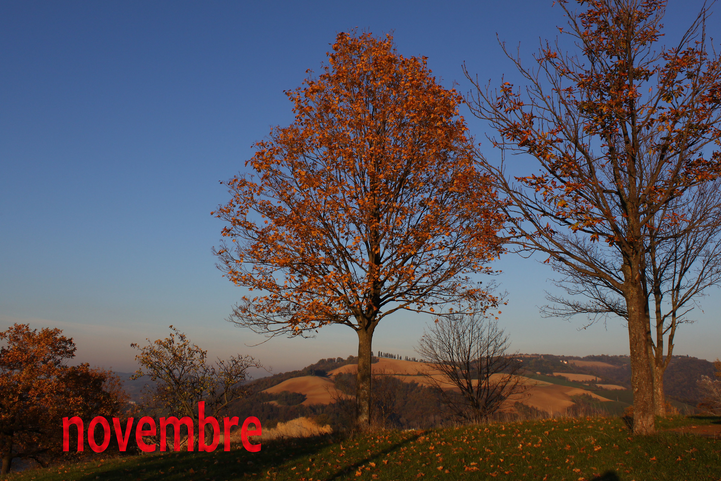 novembre 2015