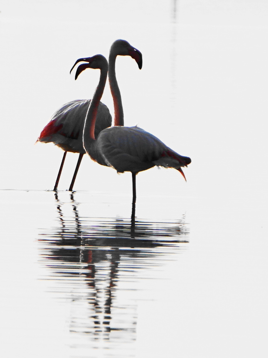 at sunset you can dance