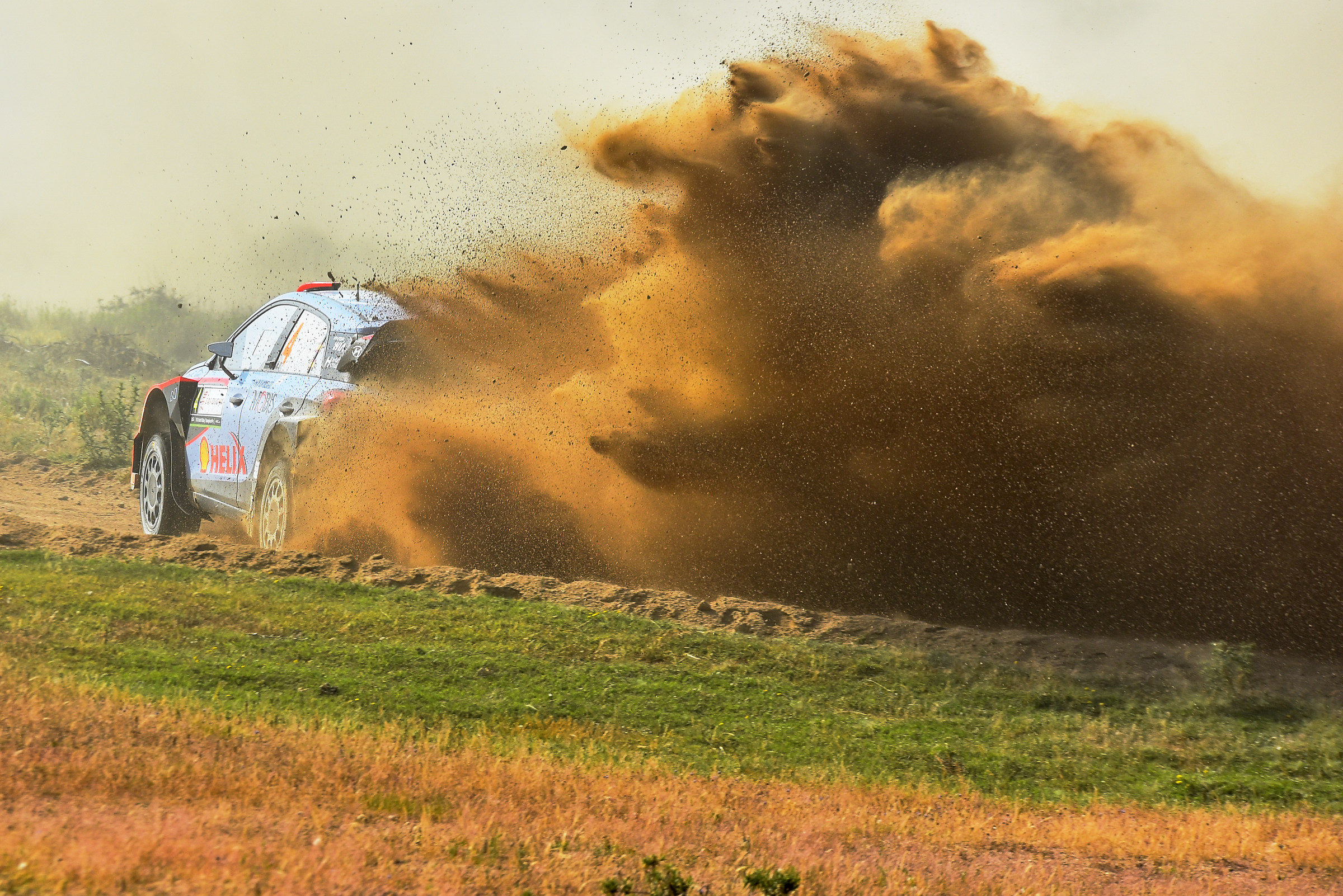 Dani Sordo Italy Rally Sardinia 2016