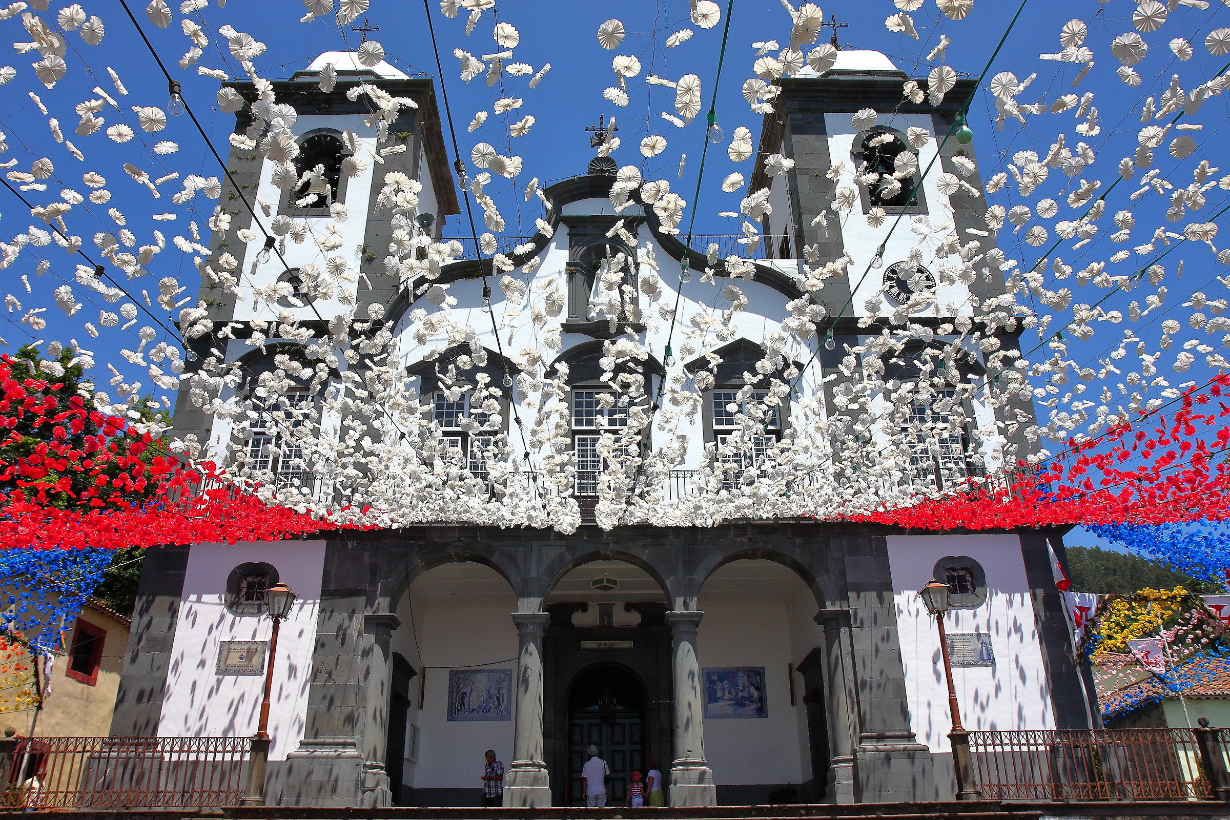 Under a sky of flowers