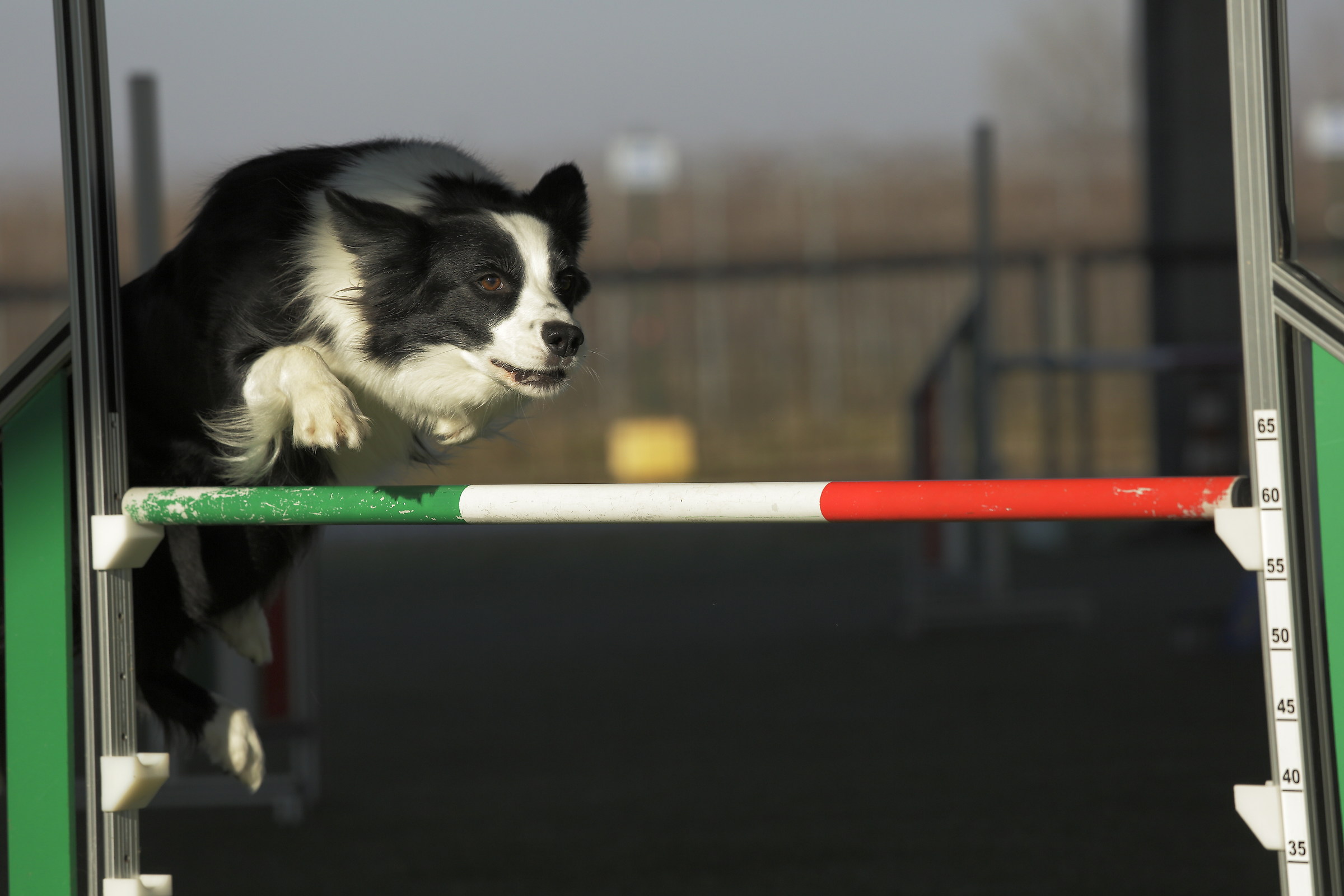 c-penelope according to the patent in agility