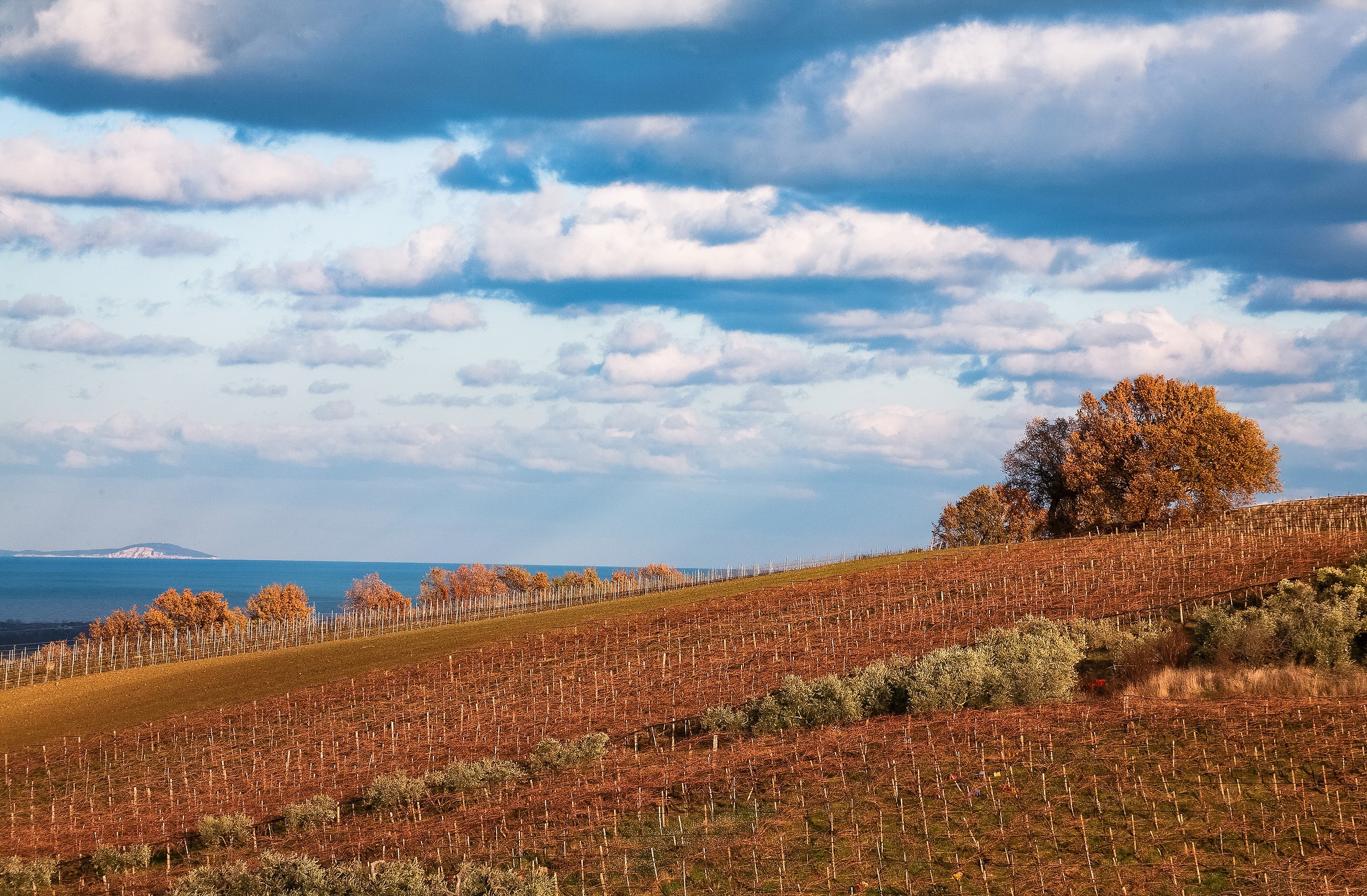 Oltre la collina il Mare.