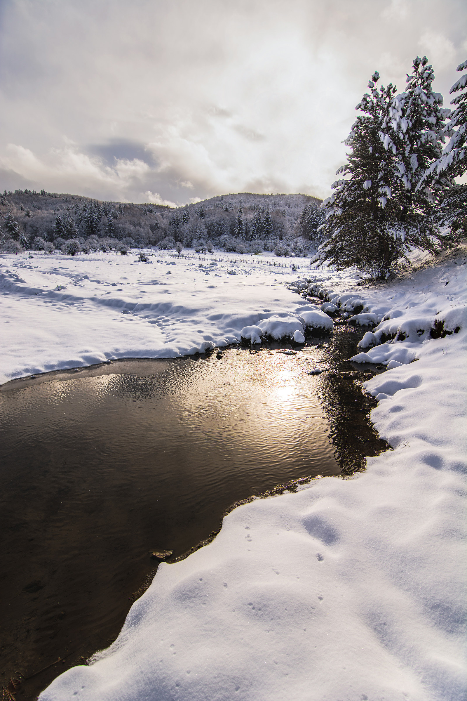 Sila - Vallata di Ciricilla
