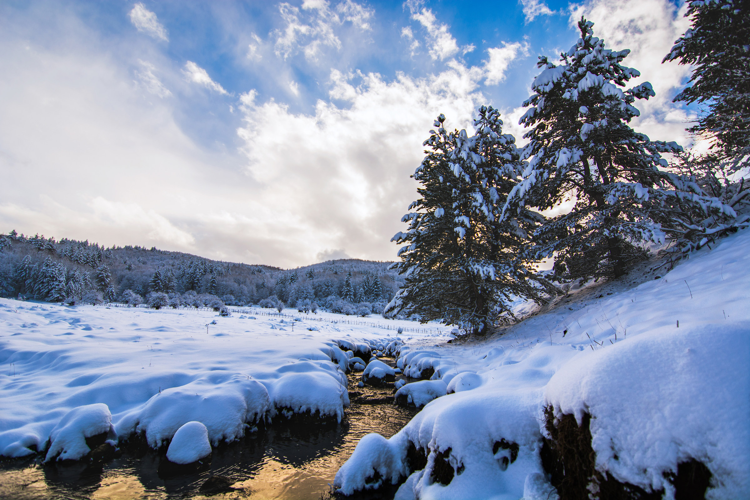 Sila - Vallata di Ciricilla