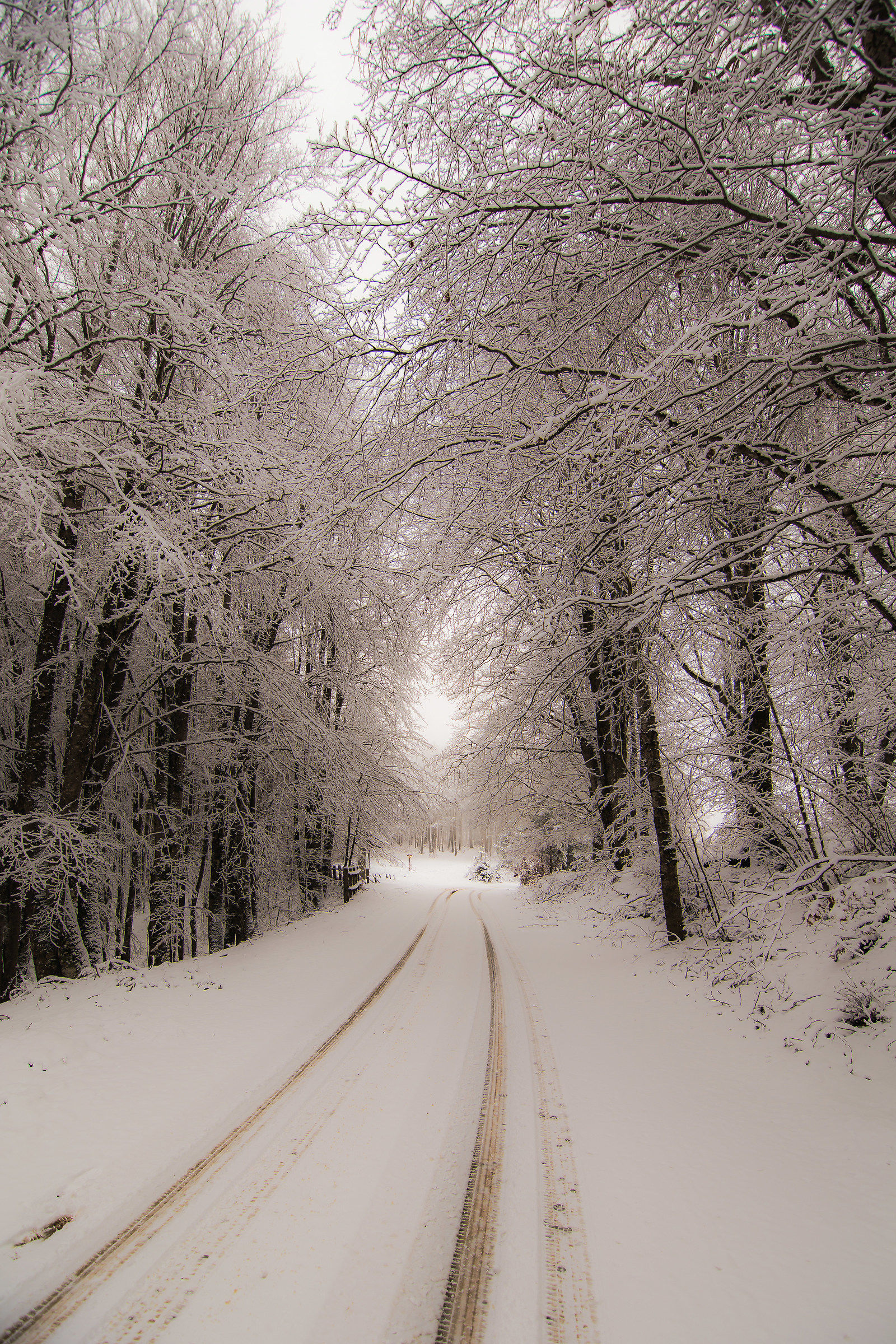 Sila - Località Tirivolo