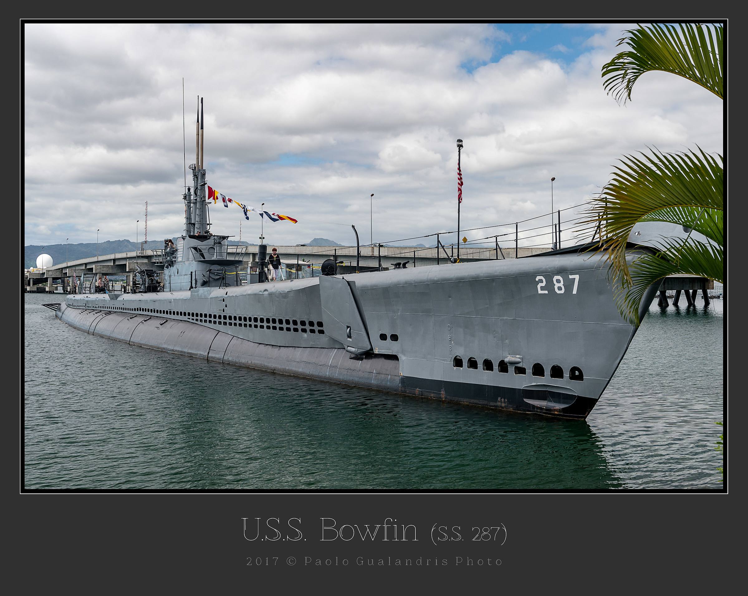 uss Bowfin