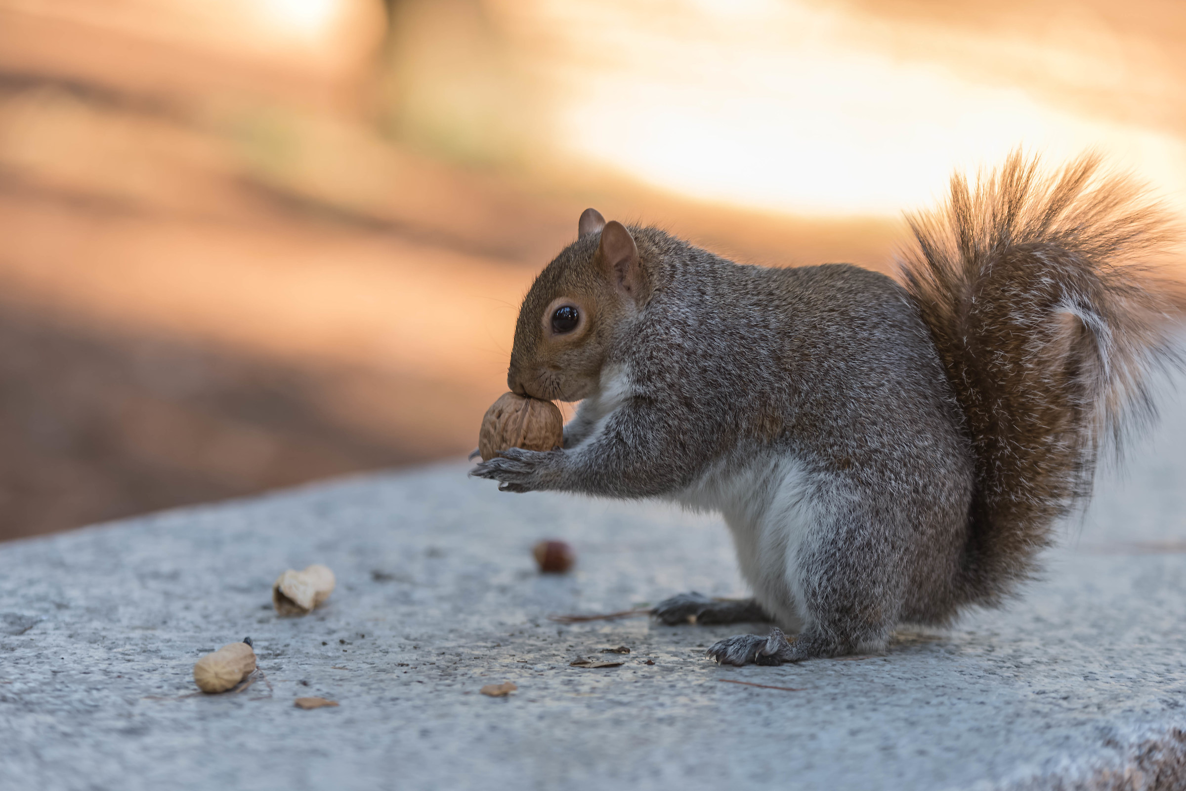 mmmm il profumo non è male!