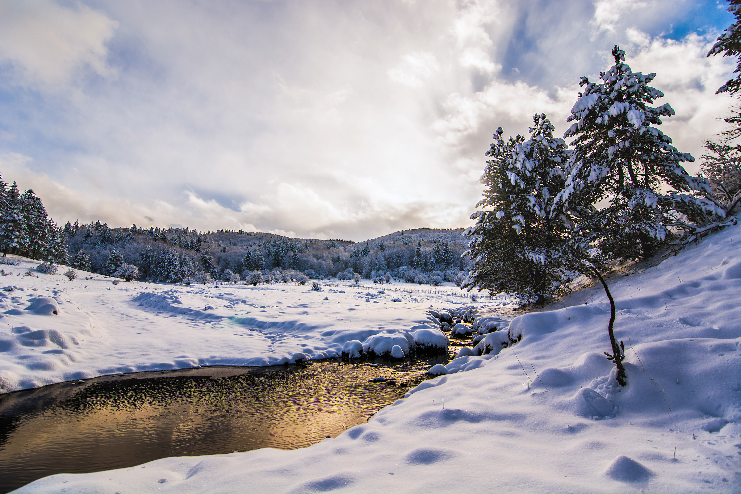 Sila - Vallata di Ciricilla