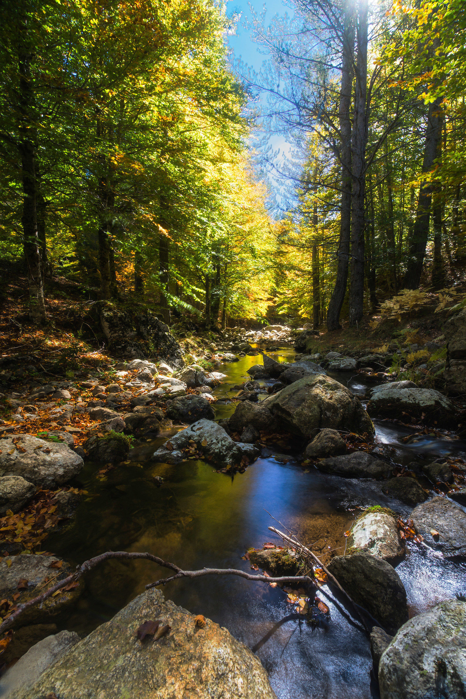 Foliage sul Fiume Crocchio