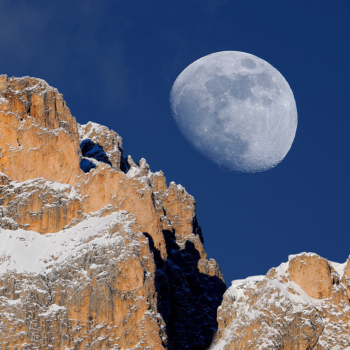 Luna and Rosengarten