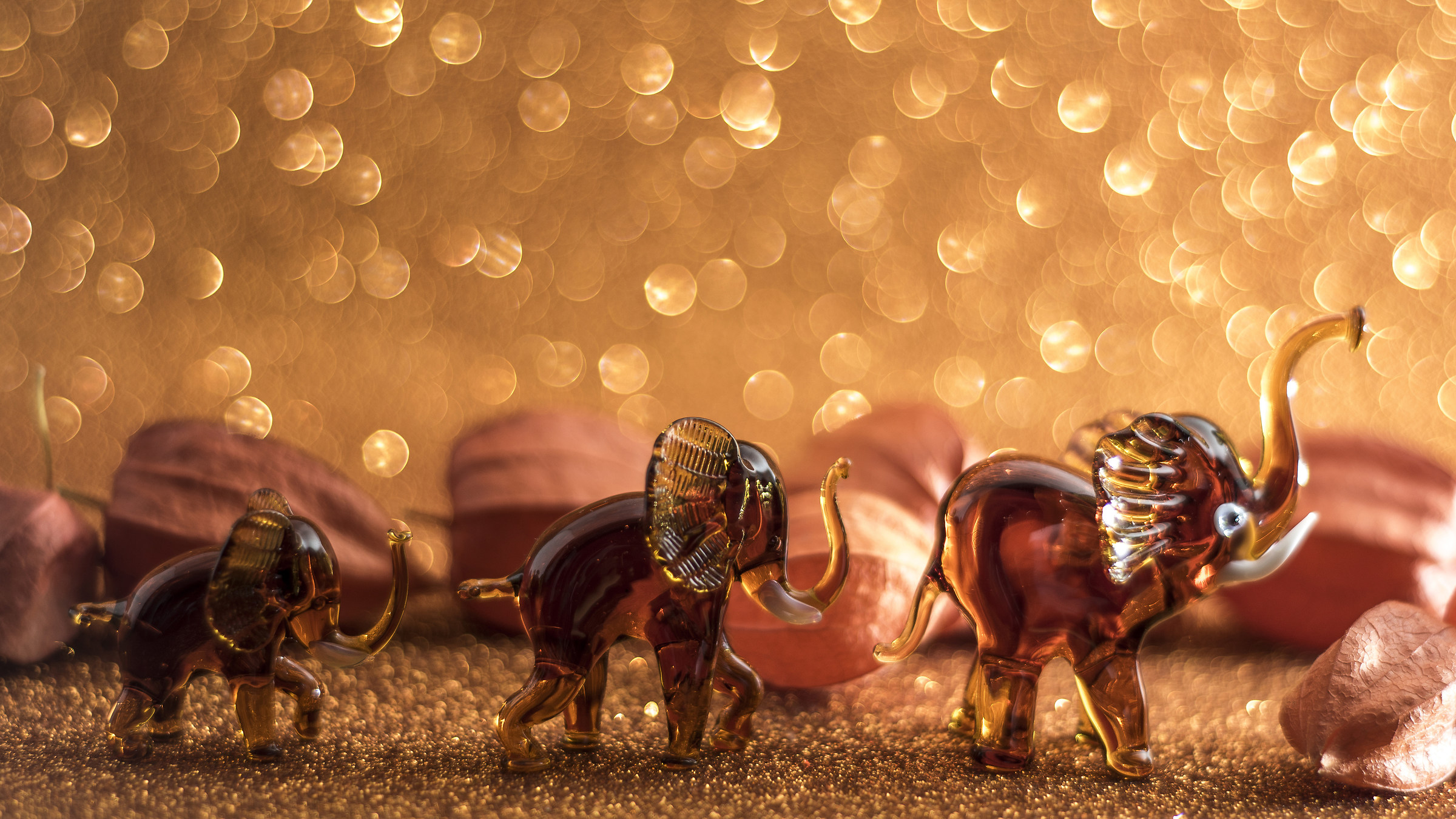 The march of the elephants