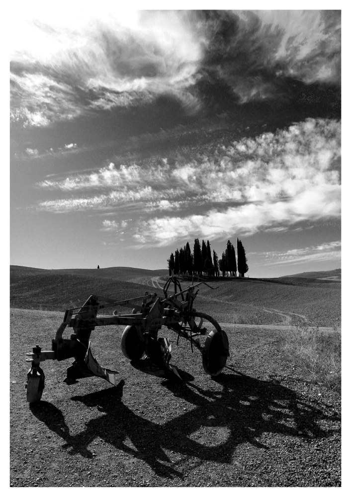 The cypresses of San Quirico d'Orcia_1